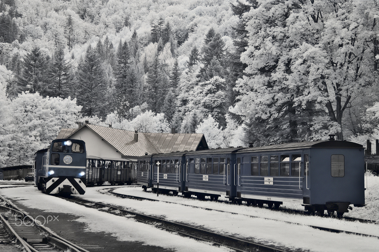 Samsung NX100 sample photo. Narrow gauge forest railway photography