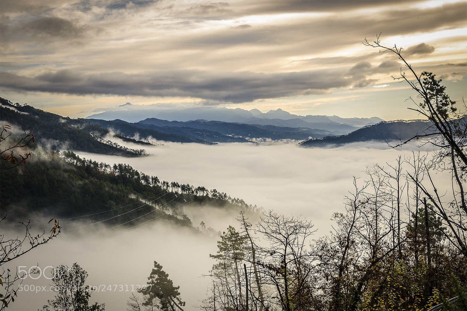 Nikon D5100 sample photo. A see of fog... photography