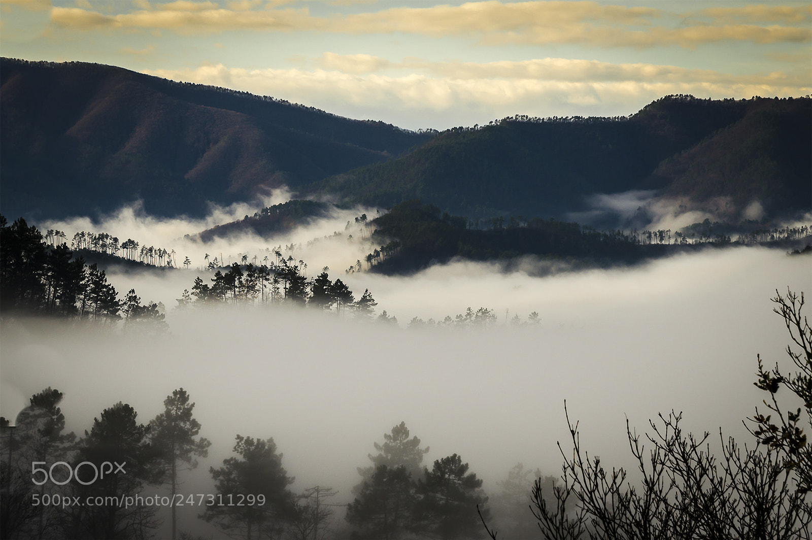 Nikon D5100 sample photo. A see of fog... photography