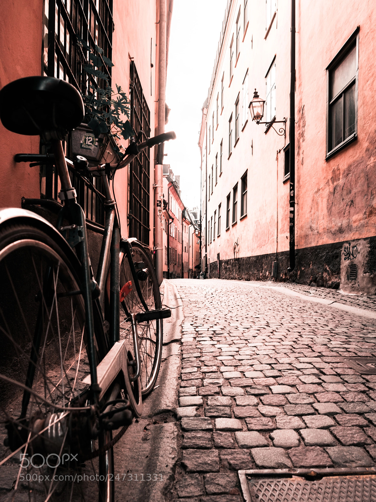 Nikon D810 sample photo. Exploring the old town photography
