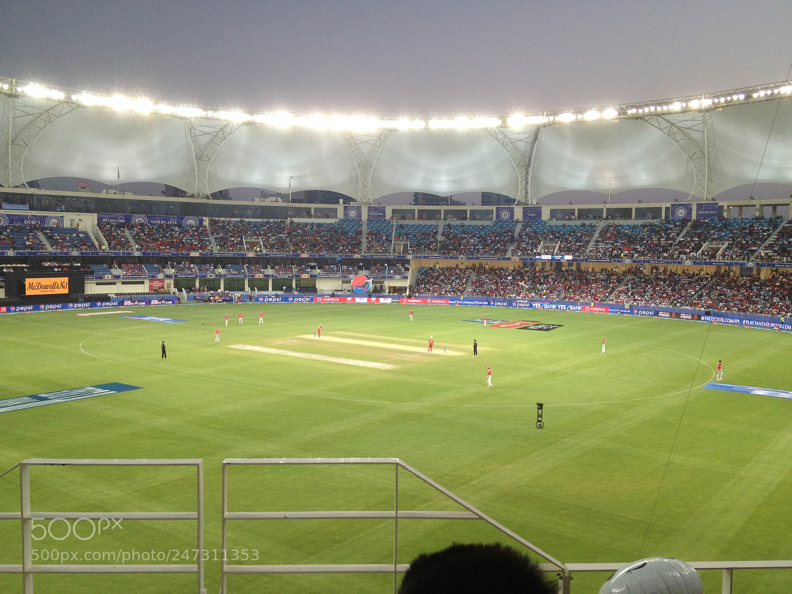 Apple iPhone 4S sample photo. Cricket photography