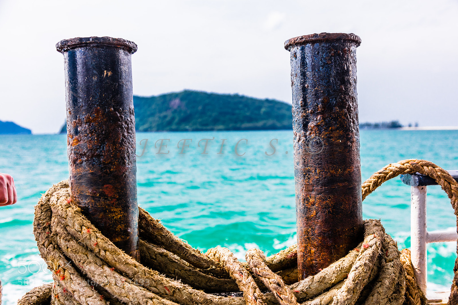 Canon EOS 5DS R sample photo. Bites marines photography