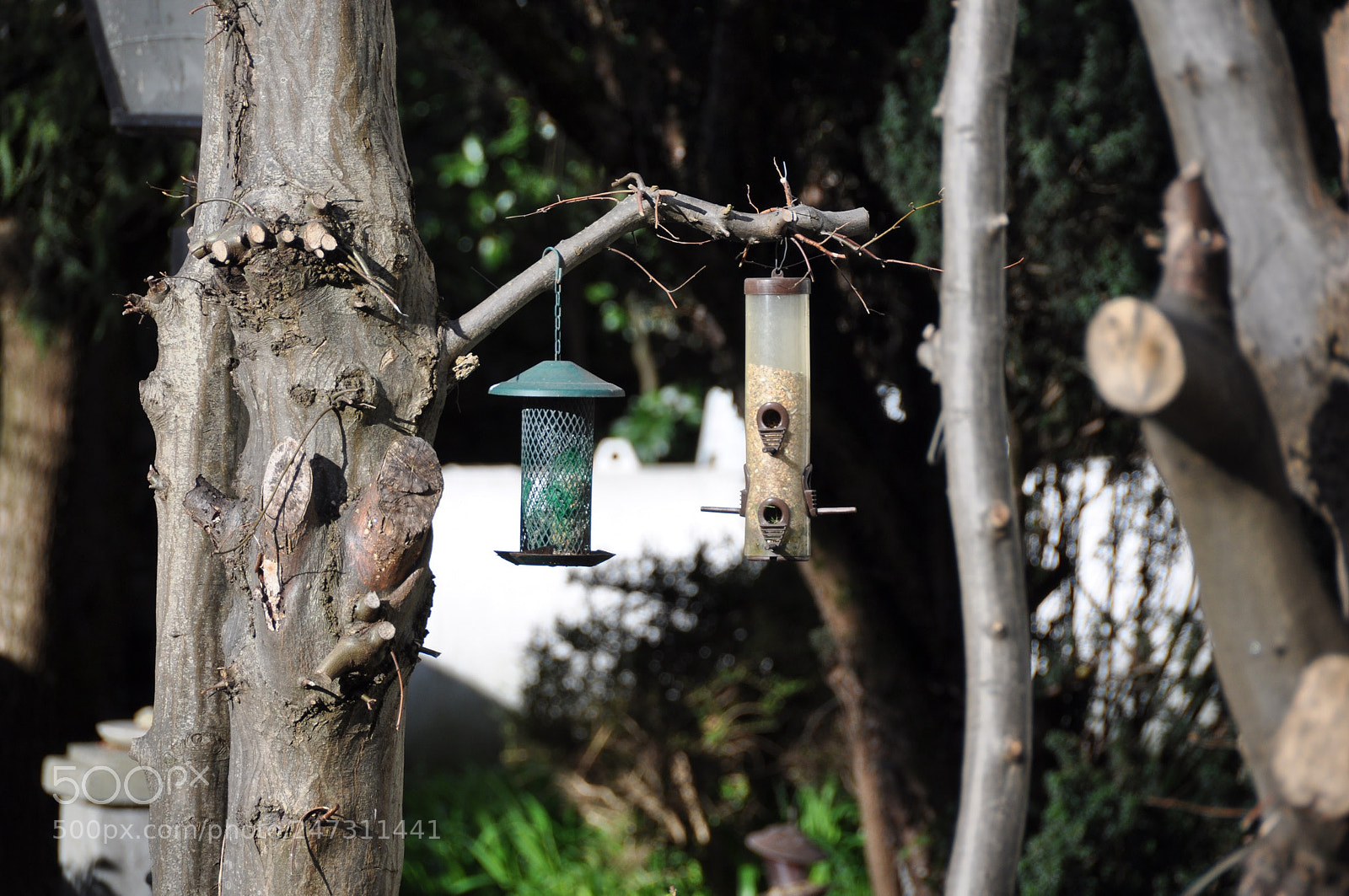 Nikon D90 sample photo. Untitled photography