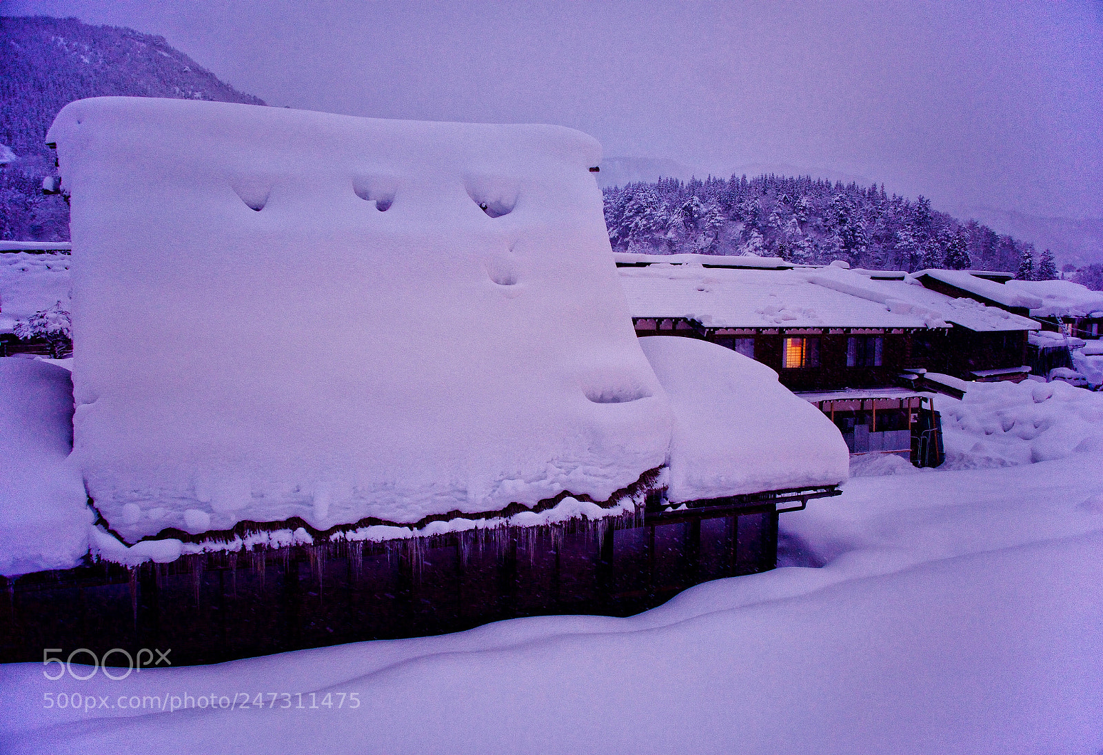 Nikon D610 sample photo. Lighting of shirakawago photography