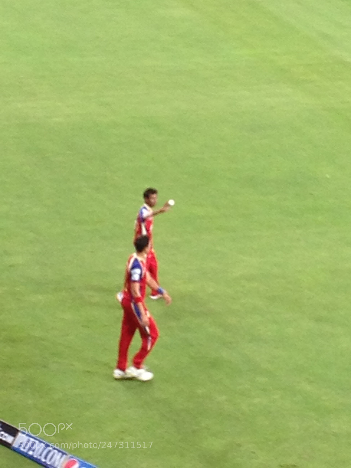 Apple iPhone 4S sample photo. Cricket photography