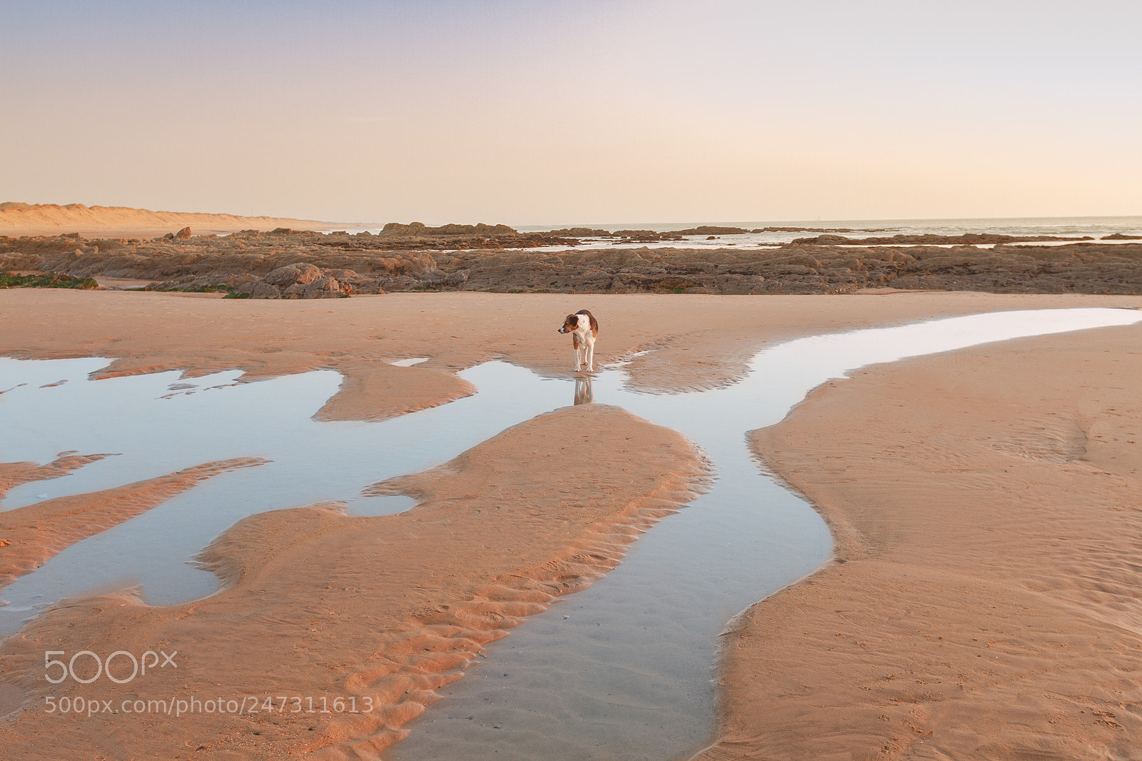 Canon EOS 7D sample photo. Charly at the beach photography