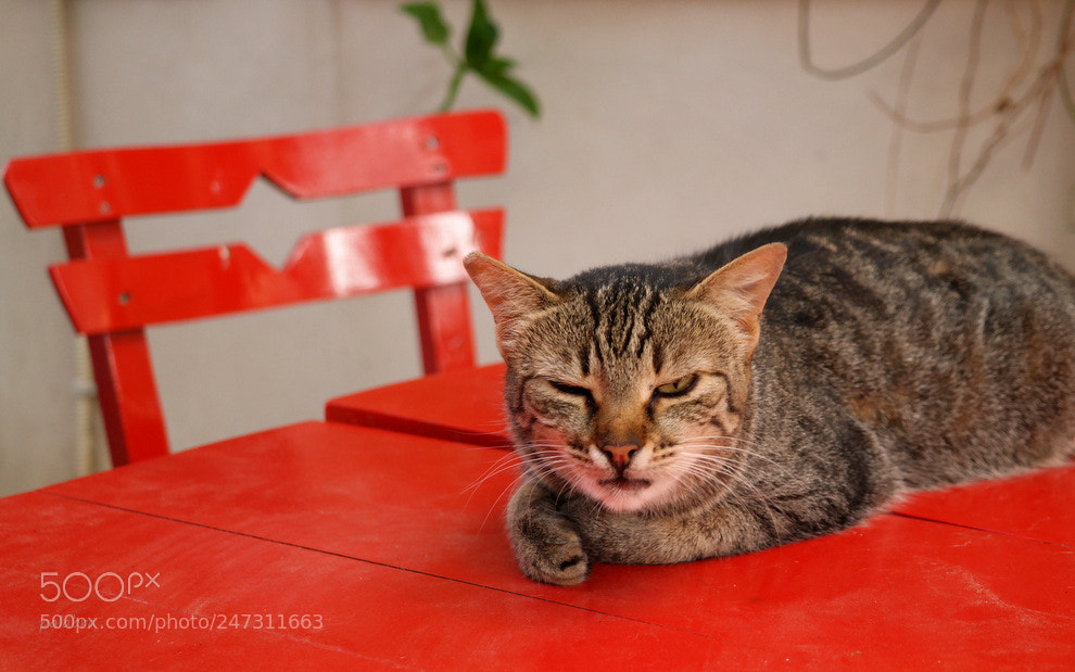 Samsung NX30 sample photo. Red table photography