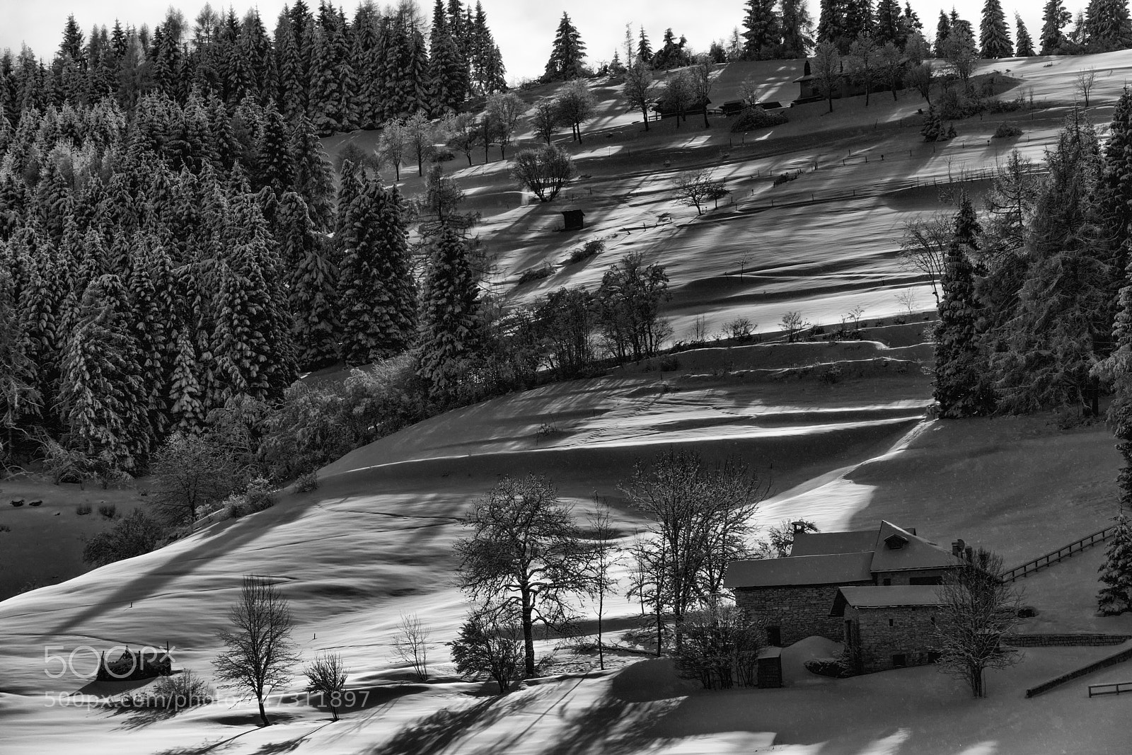Sony a7R II sample photo. B&w snow photography