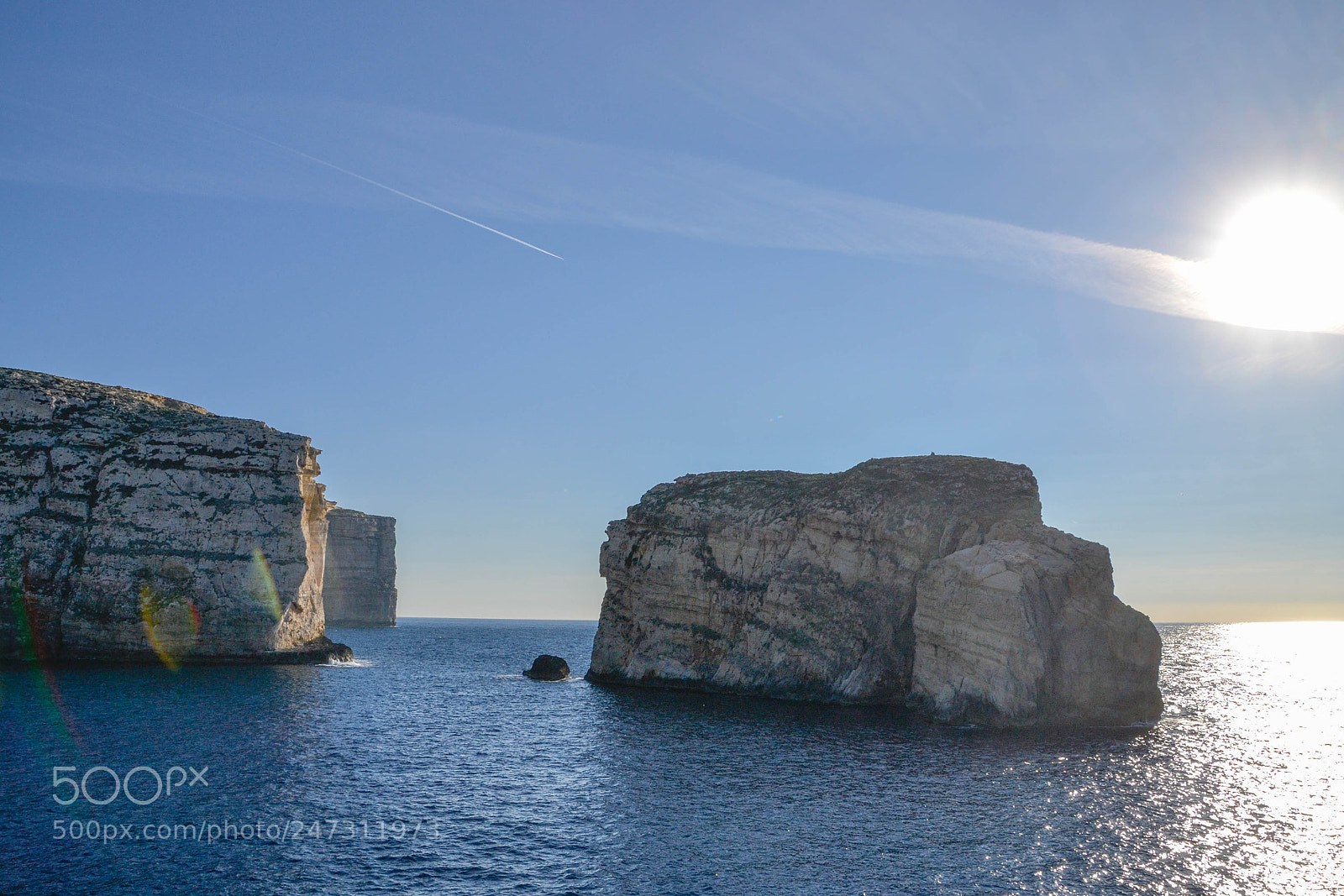 Nikon D3100 sample photo. Fungus rock photography