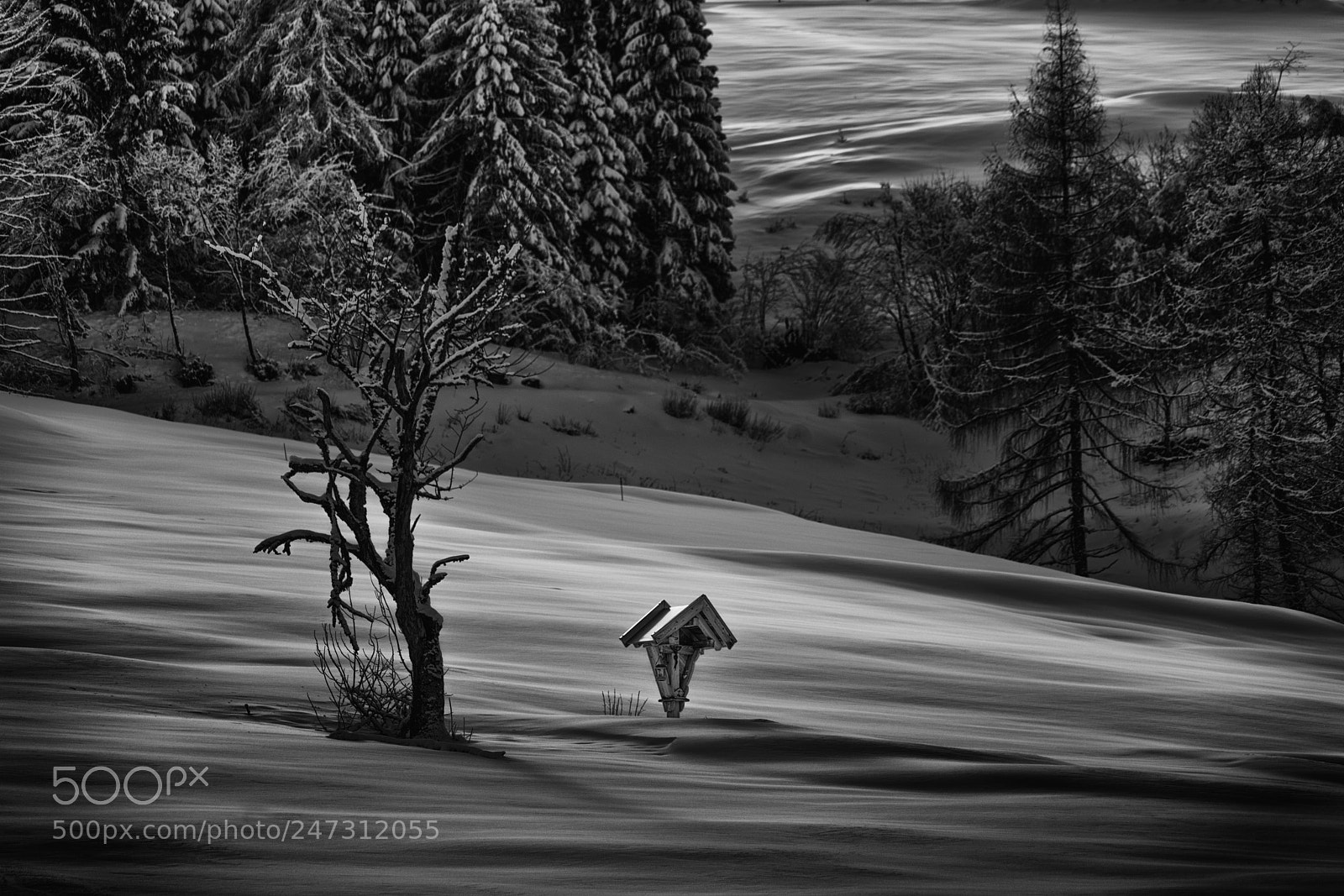 Sony a7R II sample photo. B&w snow photography