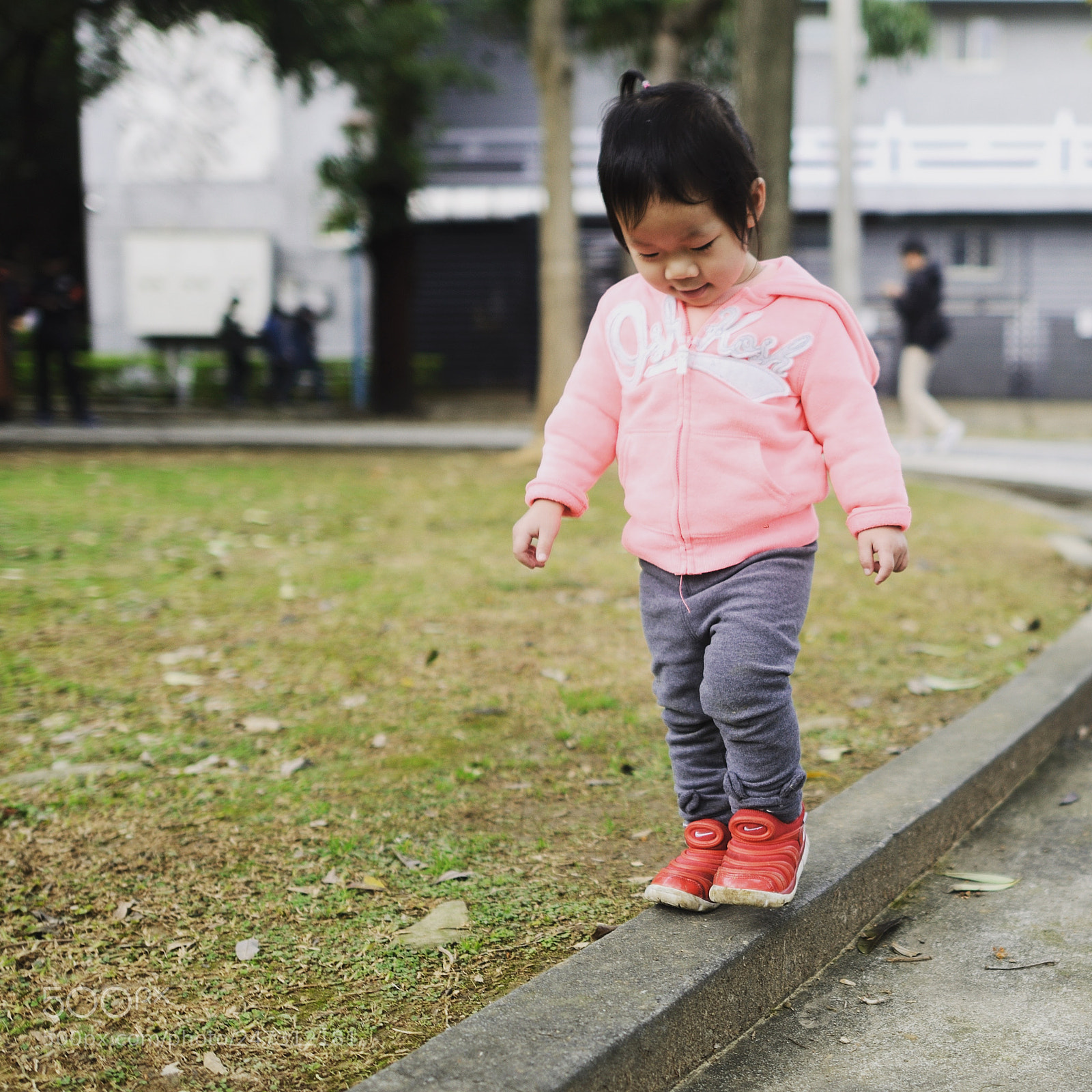 Nikon D800 sample photo. Untitled photography