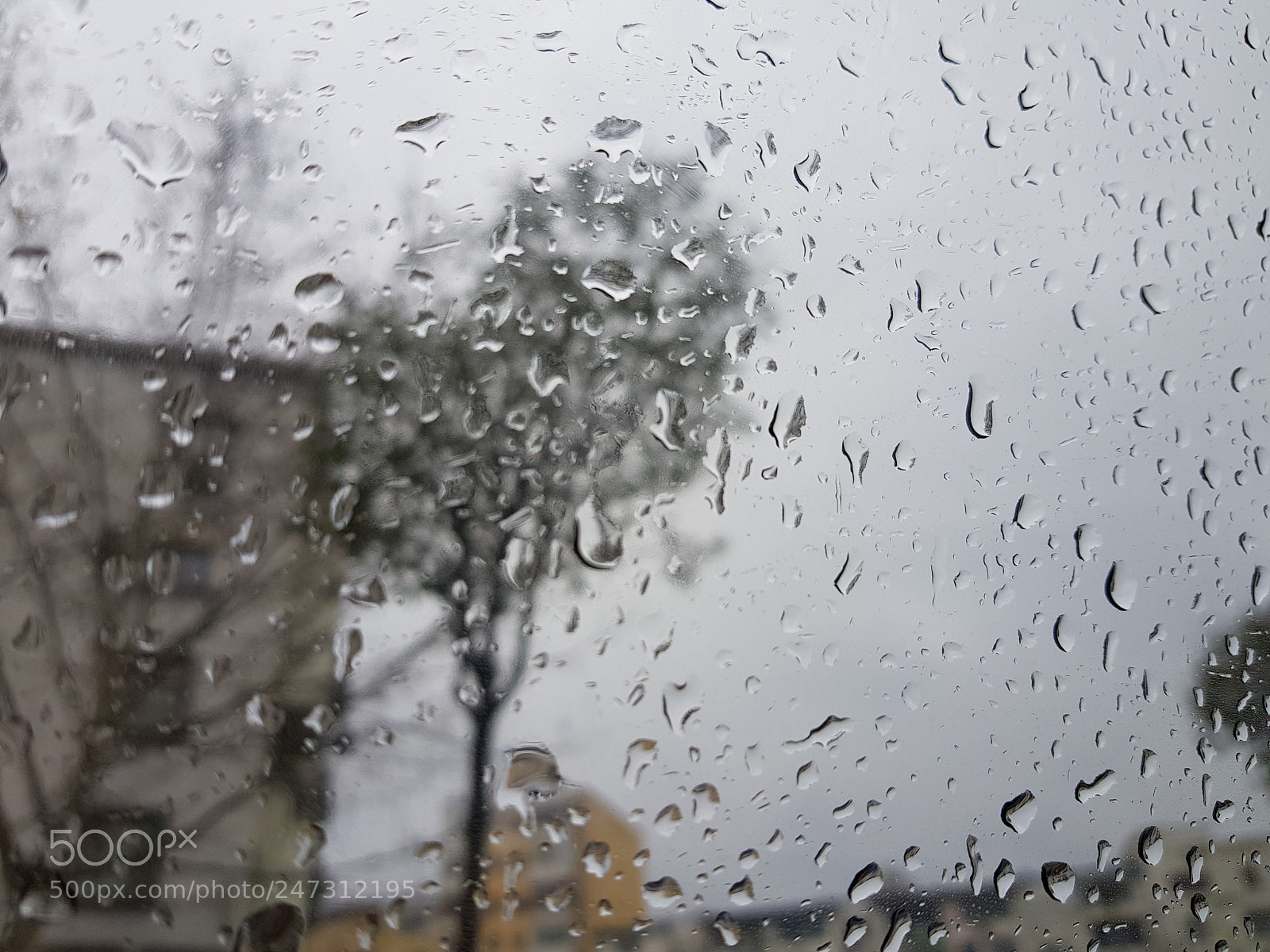 Samsung Galaxy S8 sample photo. Rain in tirana photography