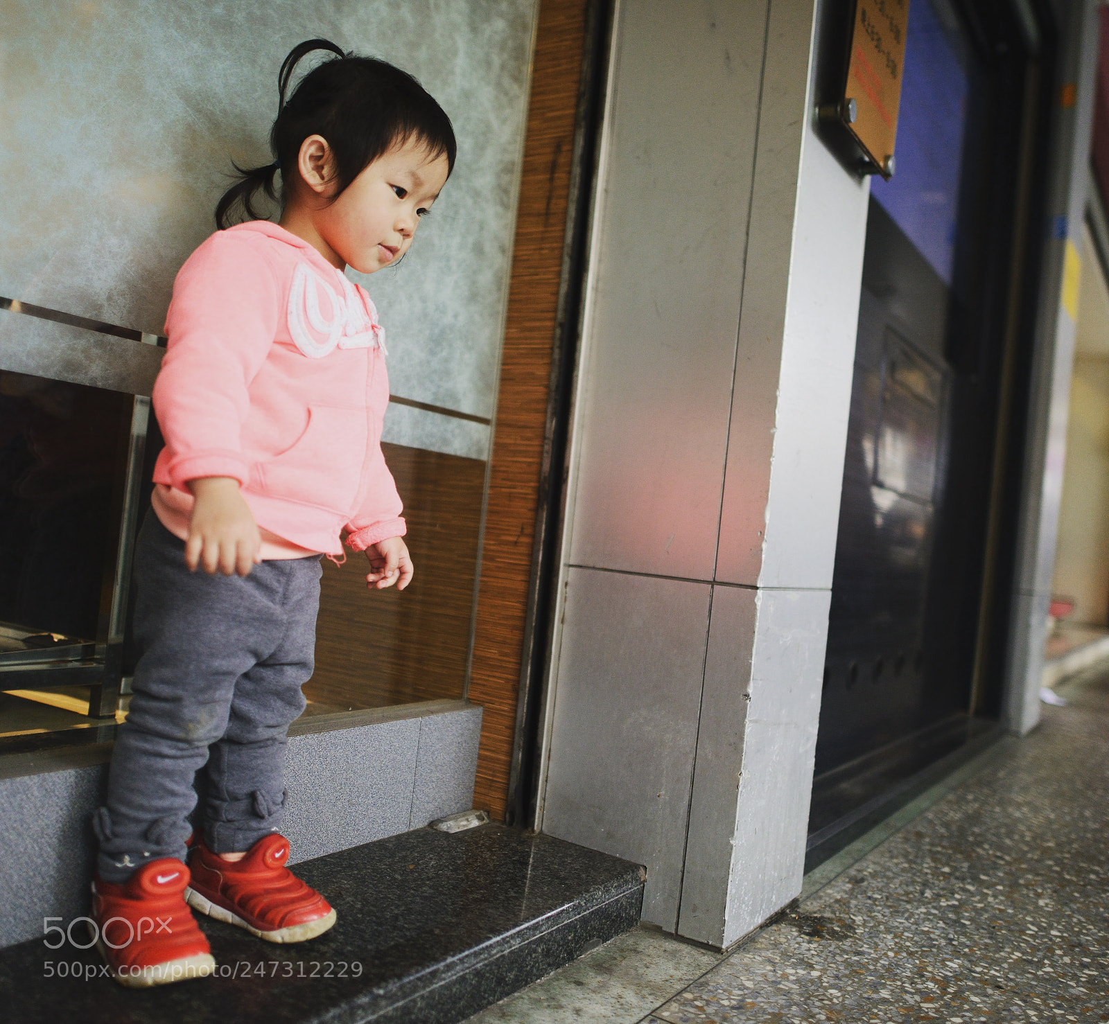 Nikon D800 sample photo. Untitled photography