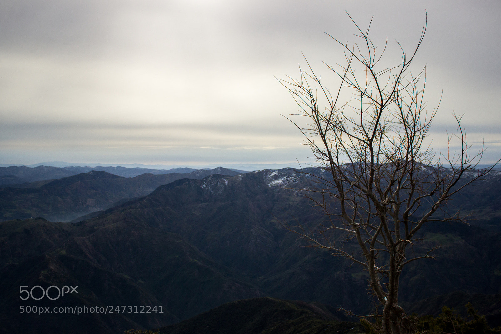 Canon EOS 600D (Rebel EOS T3i / EOS Kiss X5) sample photo. Chrea blida photography