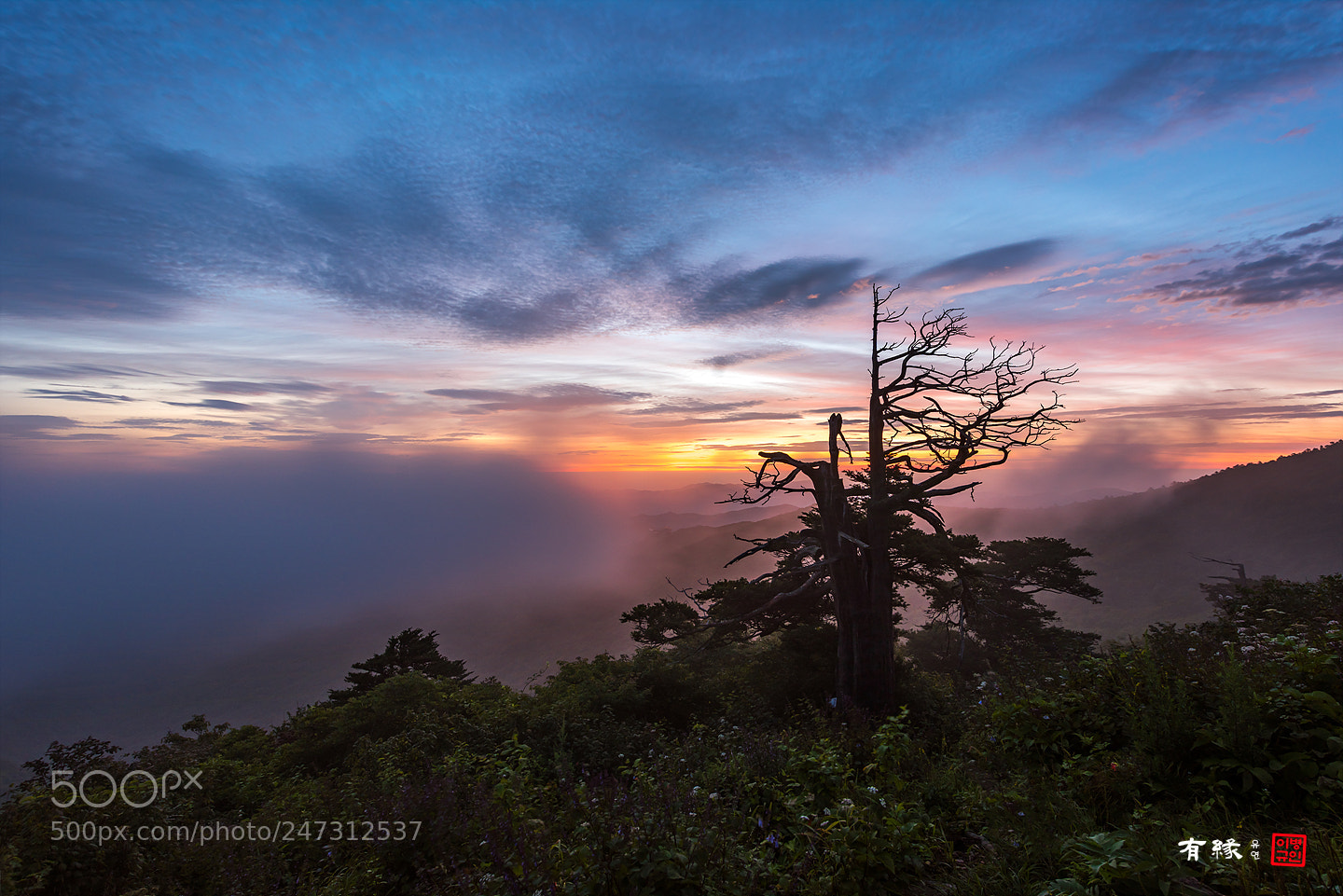 Nikon D810 sample photo. . photography