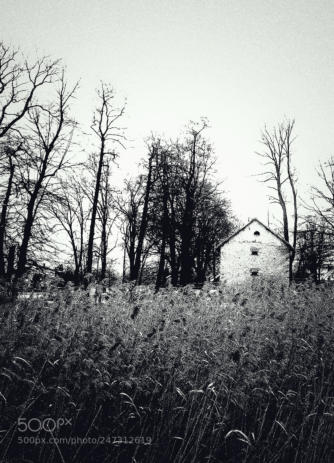 Samsung Galaxy S8 sample photo. Old stone barn photography