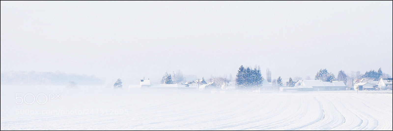 Olympus OM-D E-M1 Mark II sample photo. Blank winter photography
