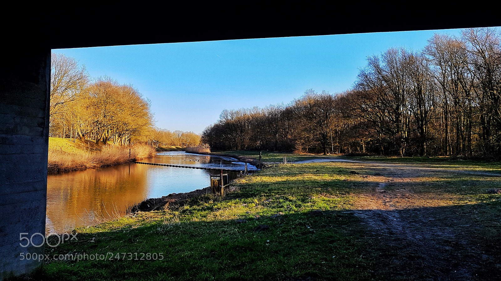 Samsung Galaxy S7 sample photo. Morning walk photography