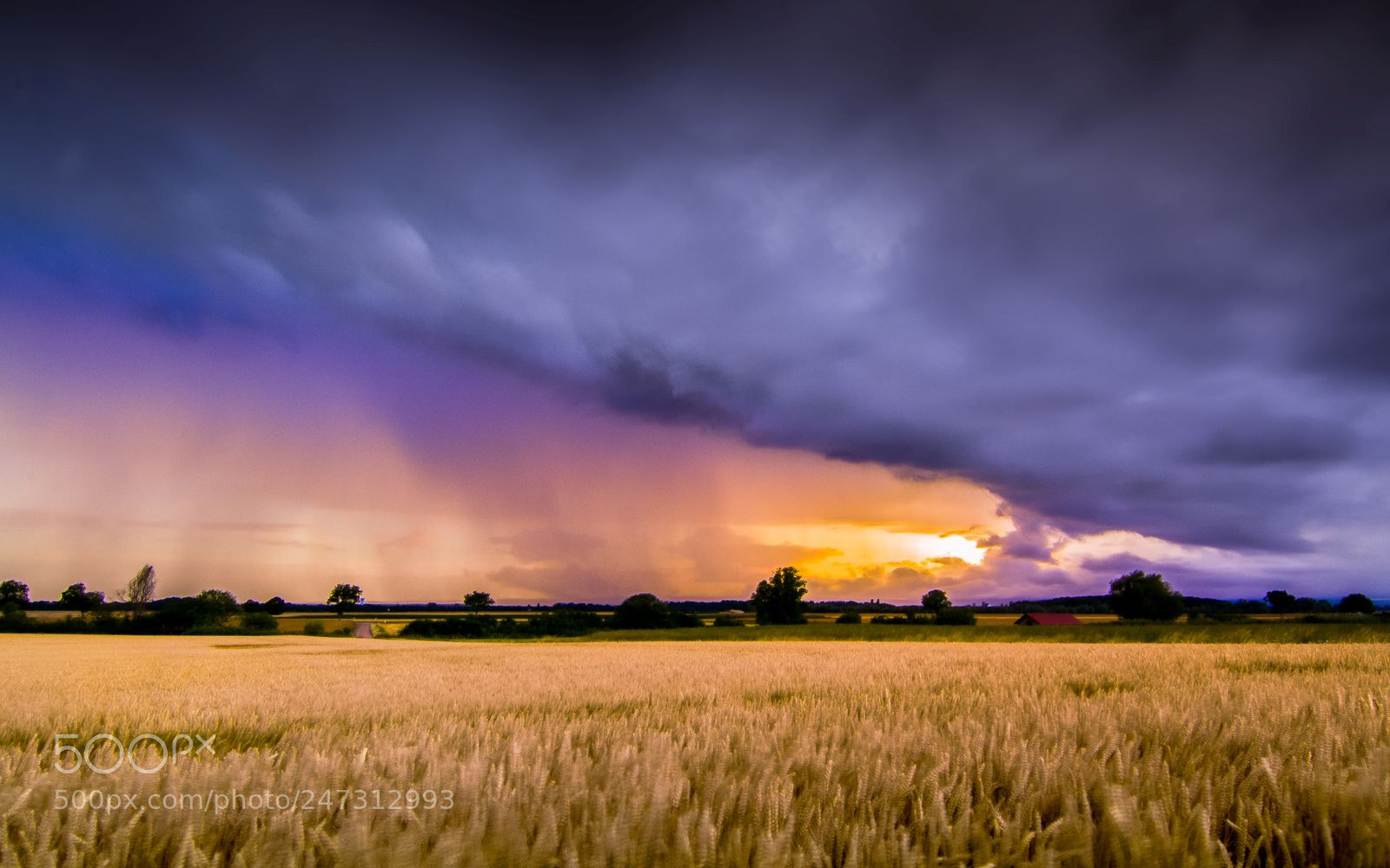 Canon EOS 7D sample photo. Rainbow colours photography