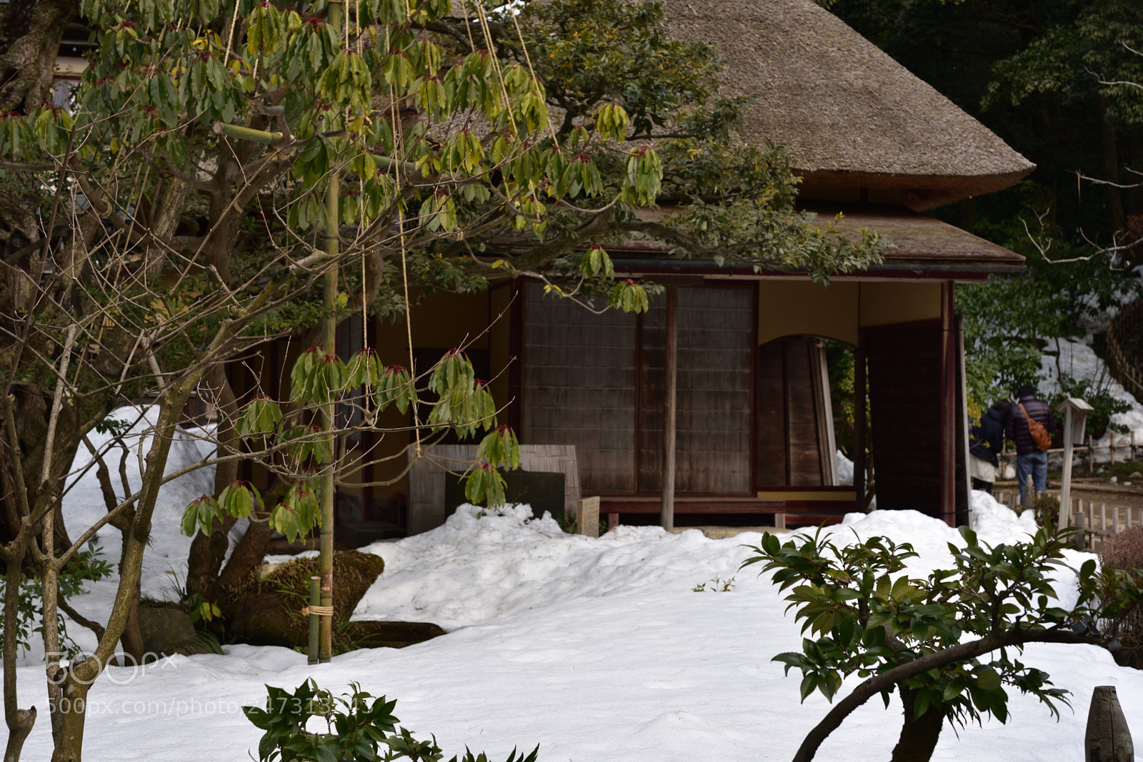 Nikon AF-S Micro-Nikkor 60mm F2.8G ED sample photo. 夕顔亭（夕顔亭）　金沢兼六園 photography