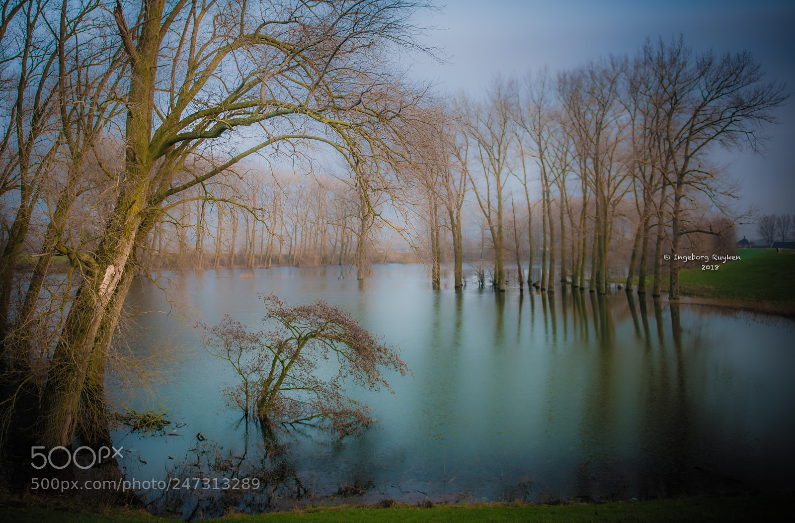 Nikon D800 sample photo. Empel - groote wiel 3146 photography