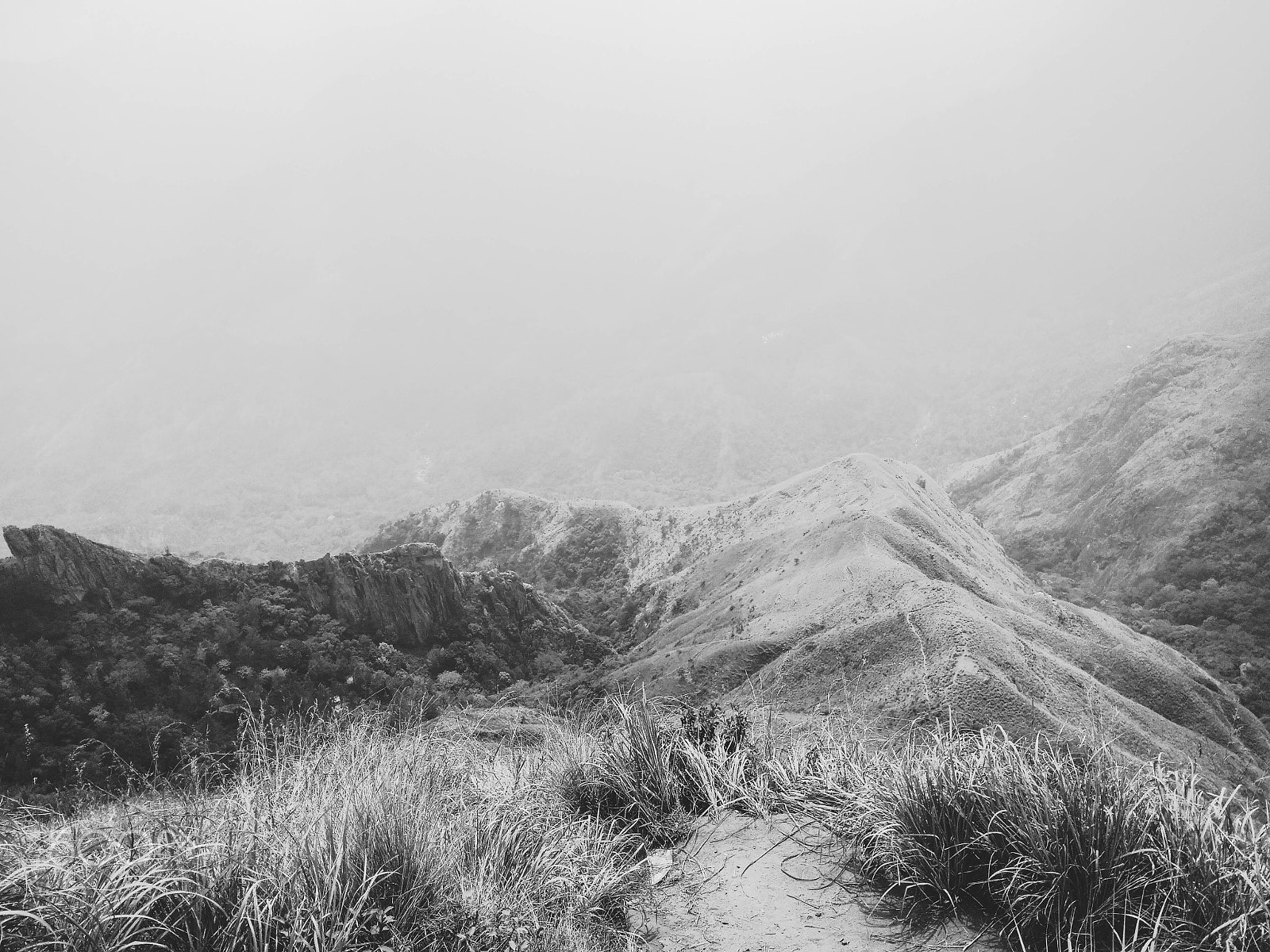 Xiaomi MI MAX sample photo. A view of nature from top of mountain photography