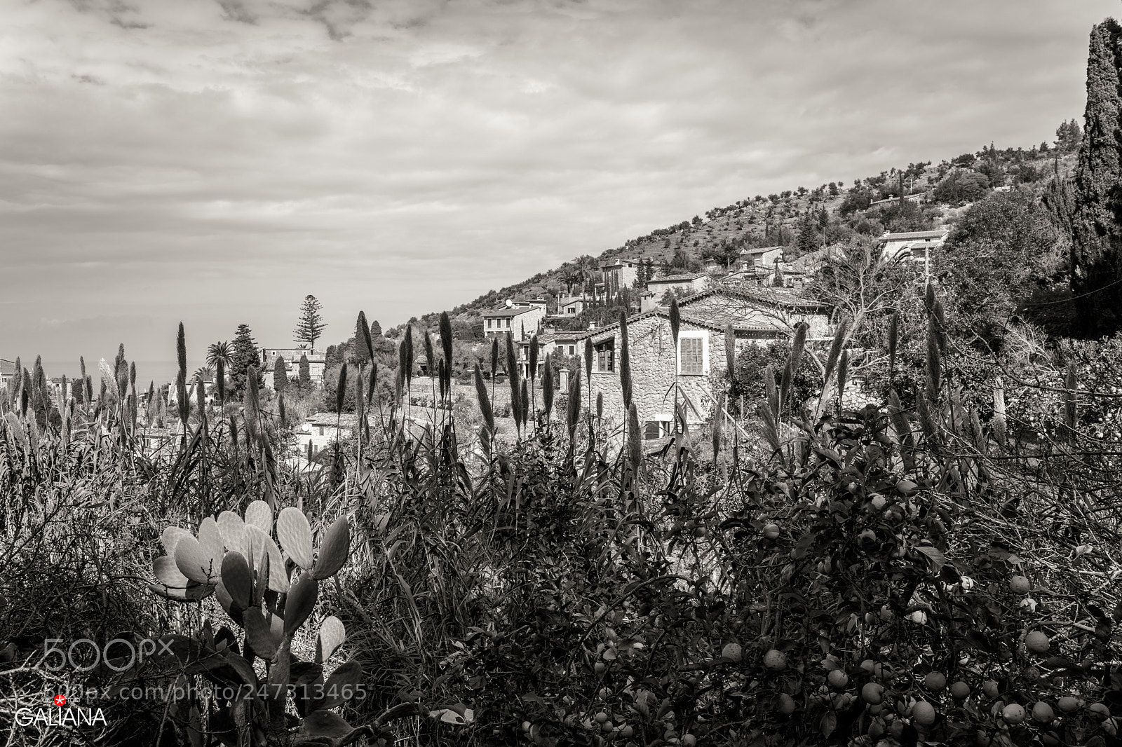 Sony a7 sample photo. Deià photography