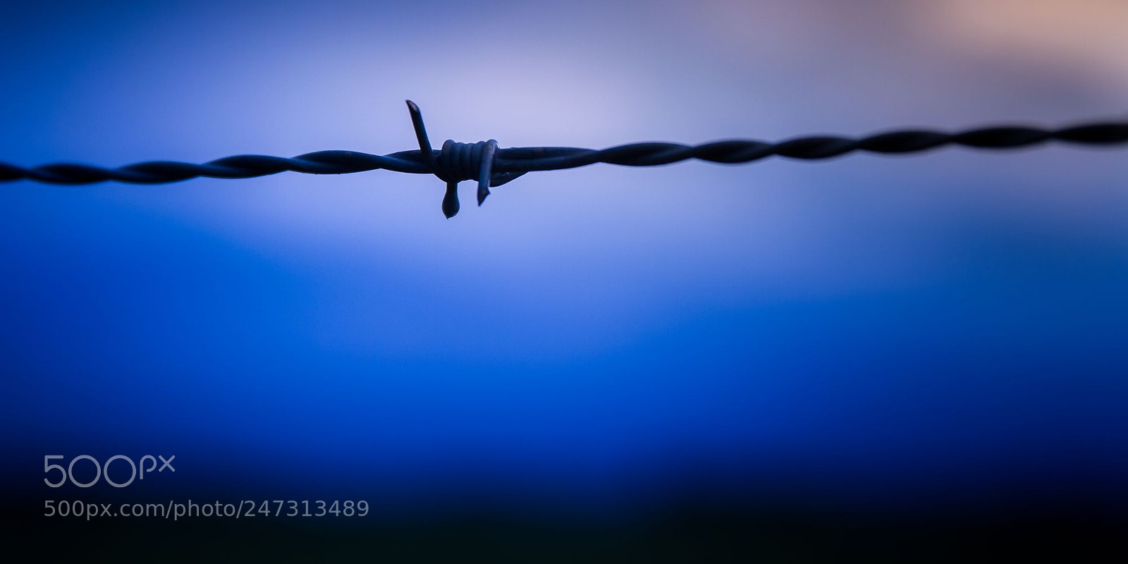 Canon EOS 7D sample photo. The iron knot photography