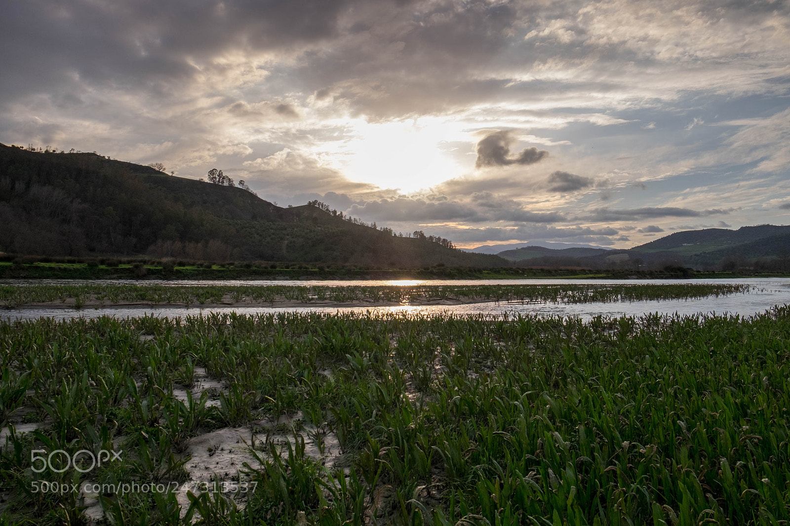 Fujifilm X-T10 sample photo. Along the banks of photography