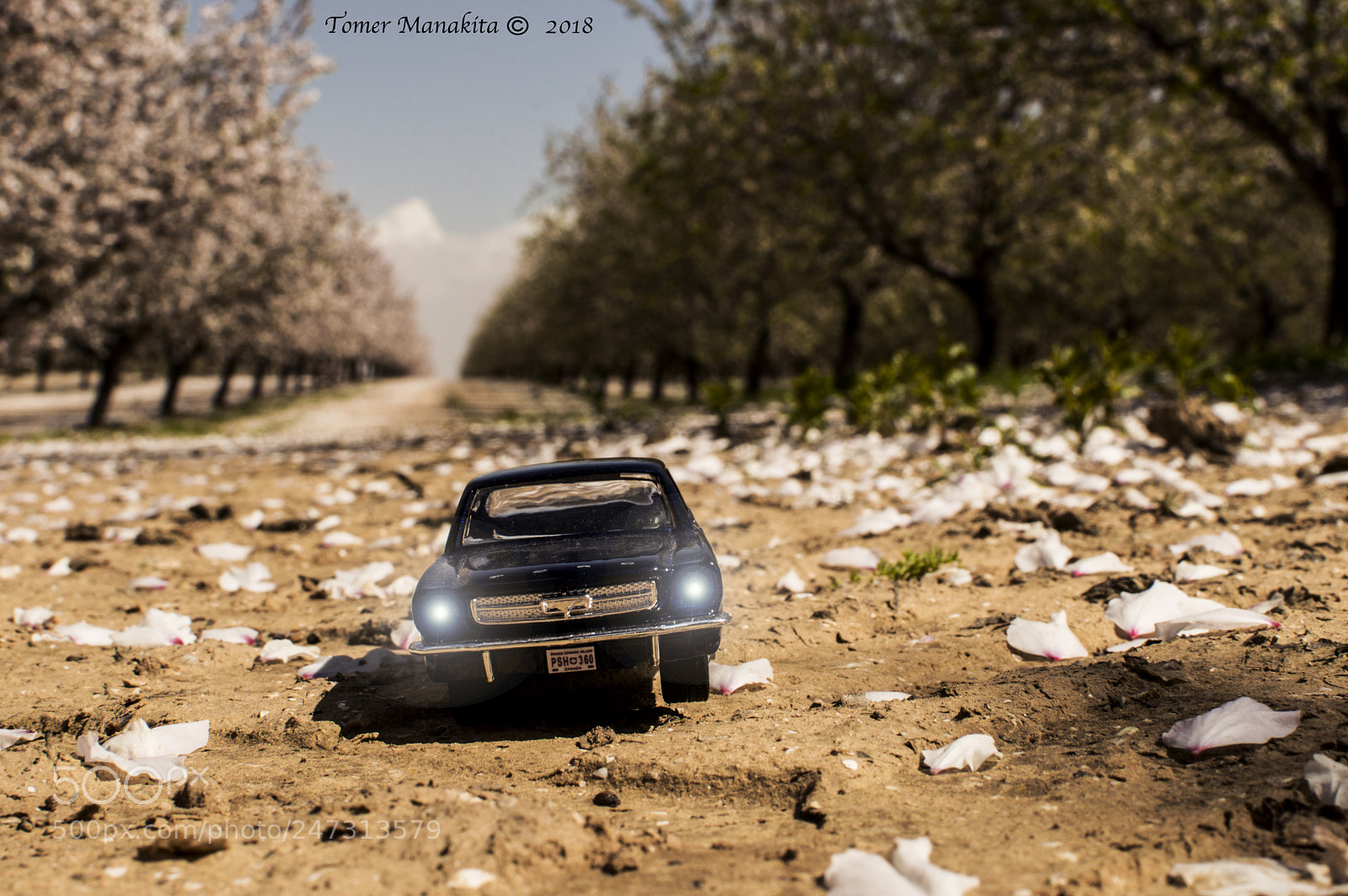 Nikon D3200 sample photo. Car photography