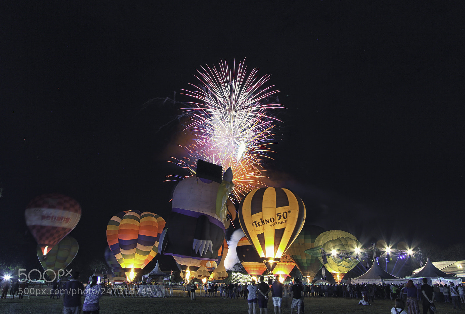 Canon EOS 600D (Rebel EOS T3i / EOS Kiss X5) sample photo. Hot air balloon fiesta photography