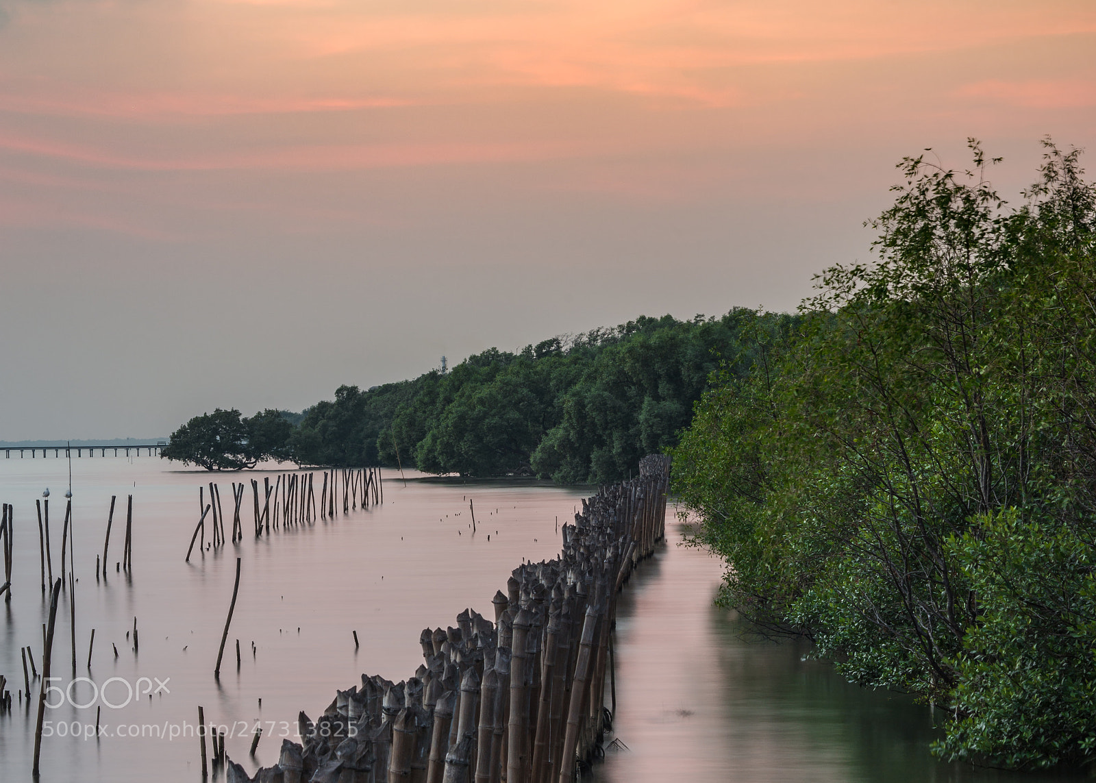 Sony SLT-A99V sample photo. Sunset sticks photography