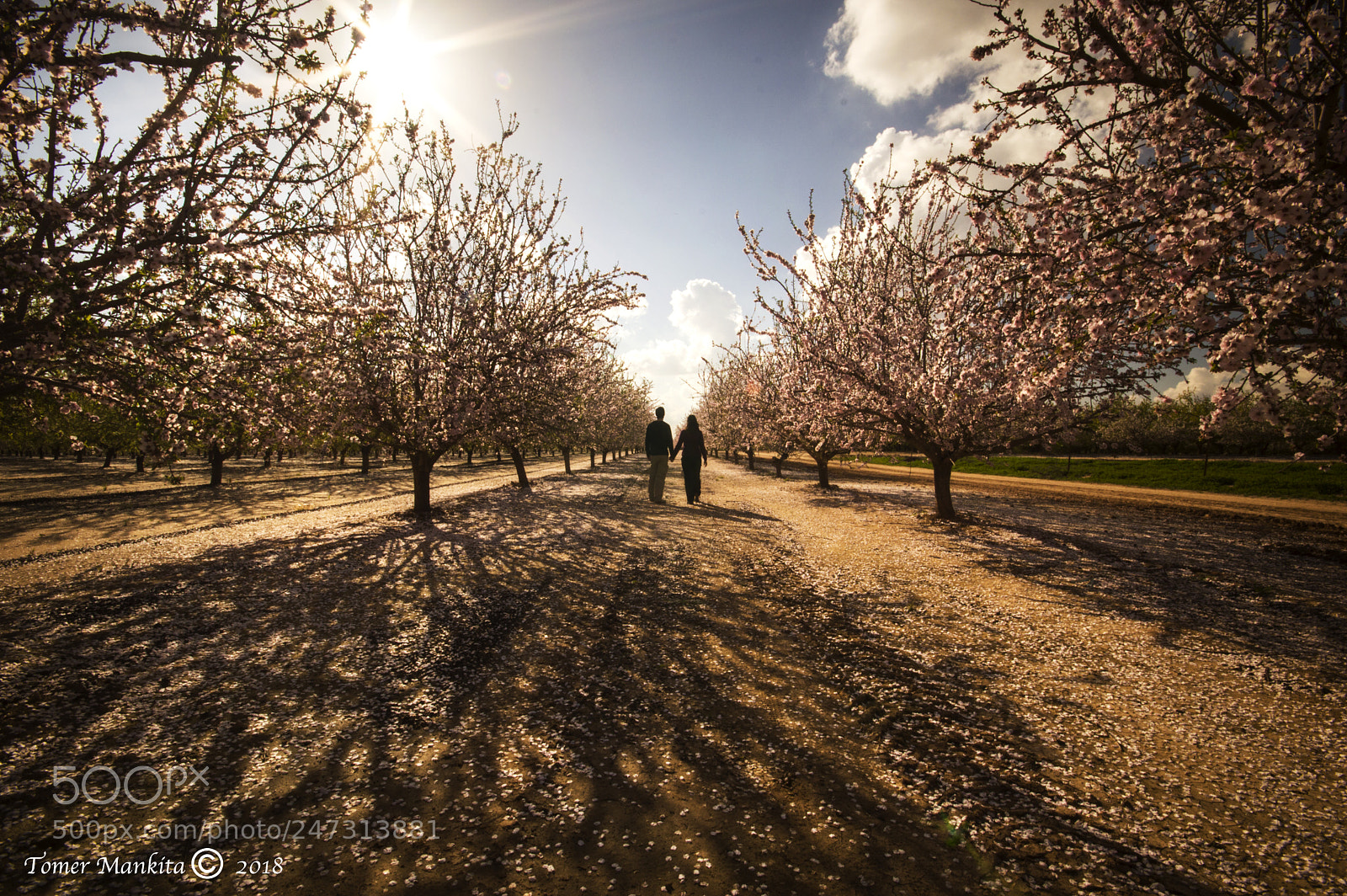 Nikon D3200 sample photo. Hand in hand photography