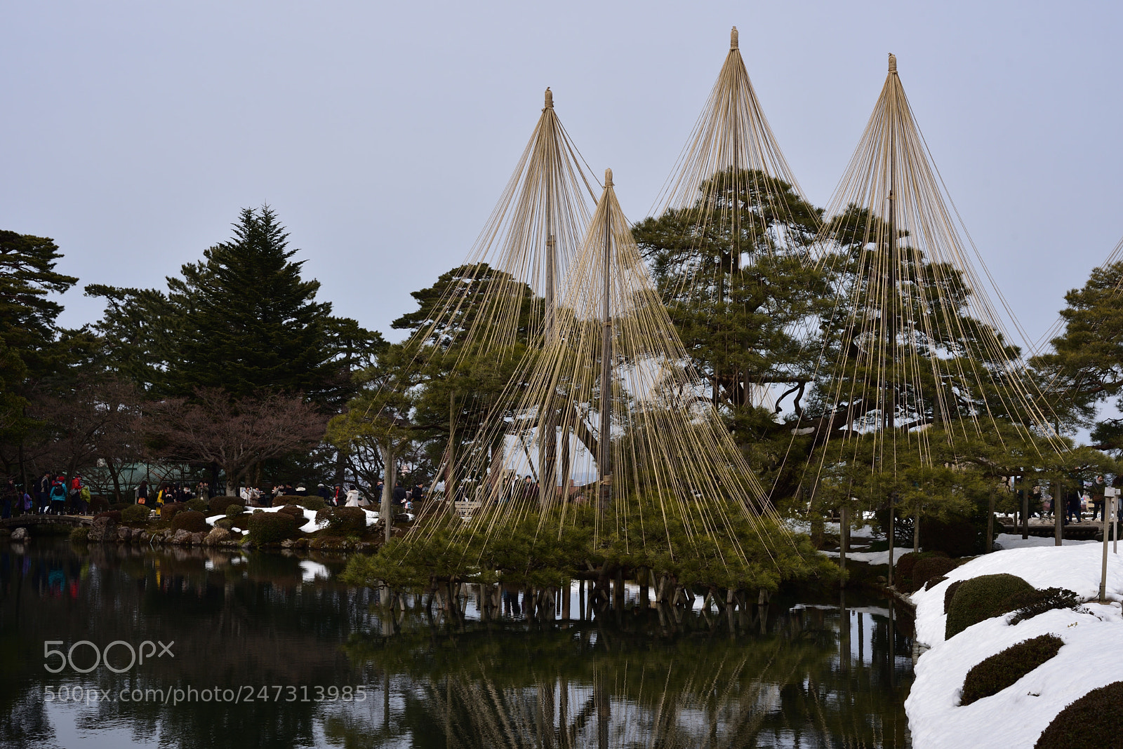 Nikon AF-S Micro-Nikkor 60mm F2.8G ED sample photo. 唐崎松（からさきまつ）　金沢兼六園 photography
