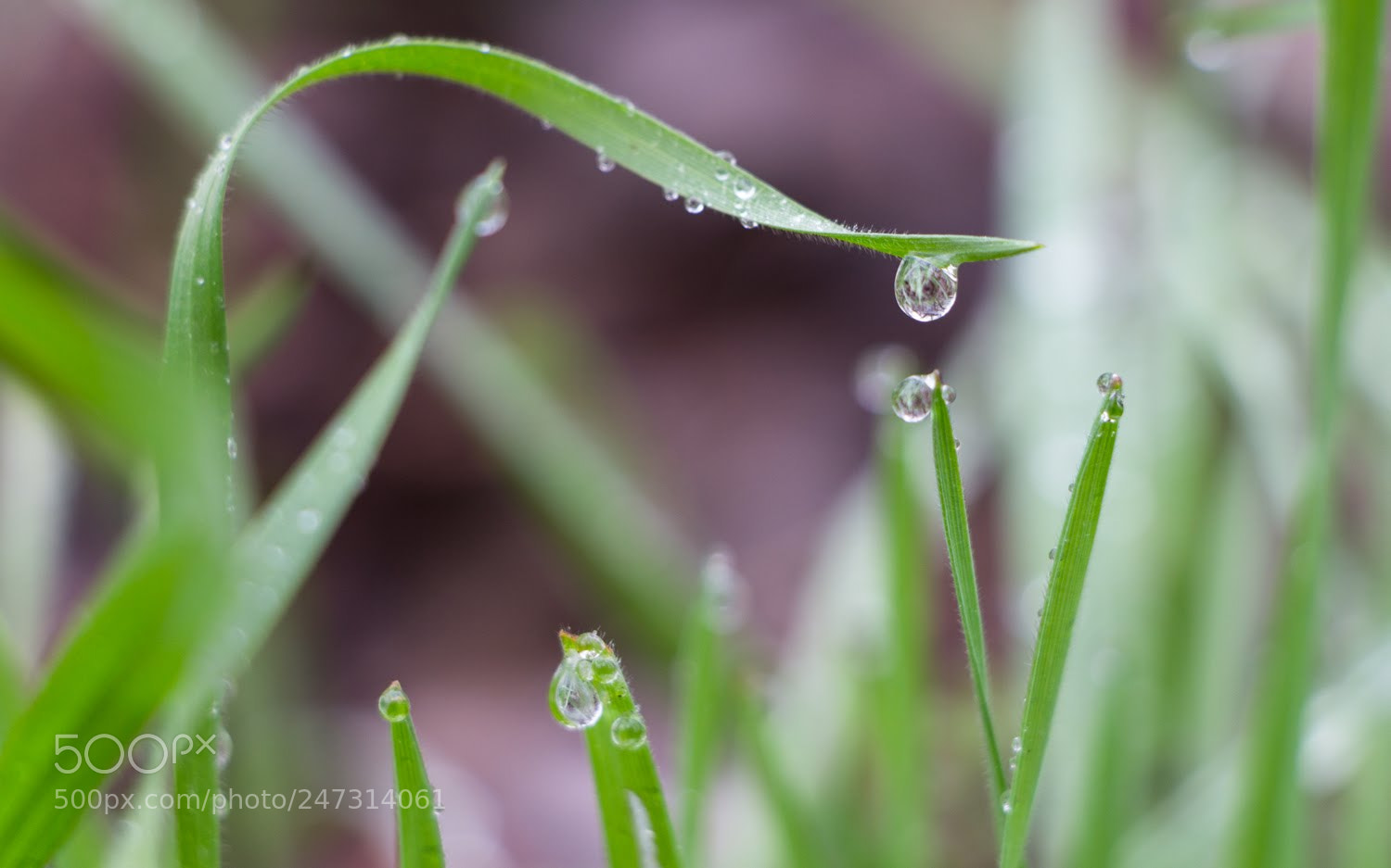 Canon EOS 700D (EOS Rebel T5i / EOS Kiss X7i) sample photo. Water falling photography