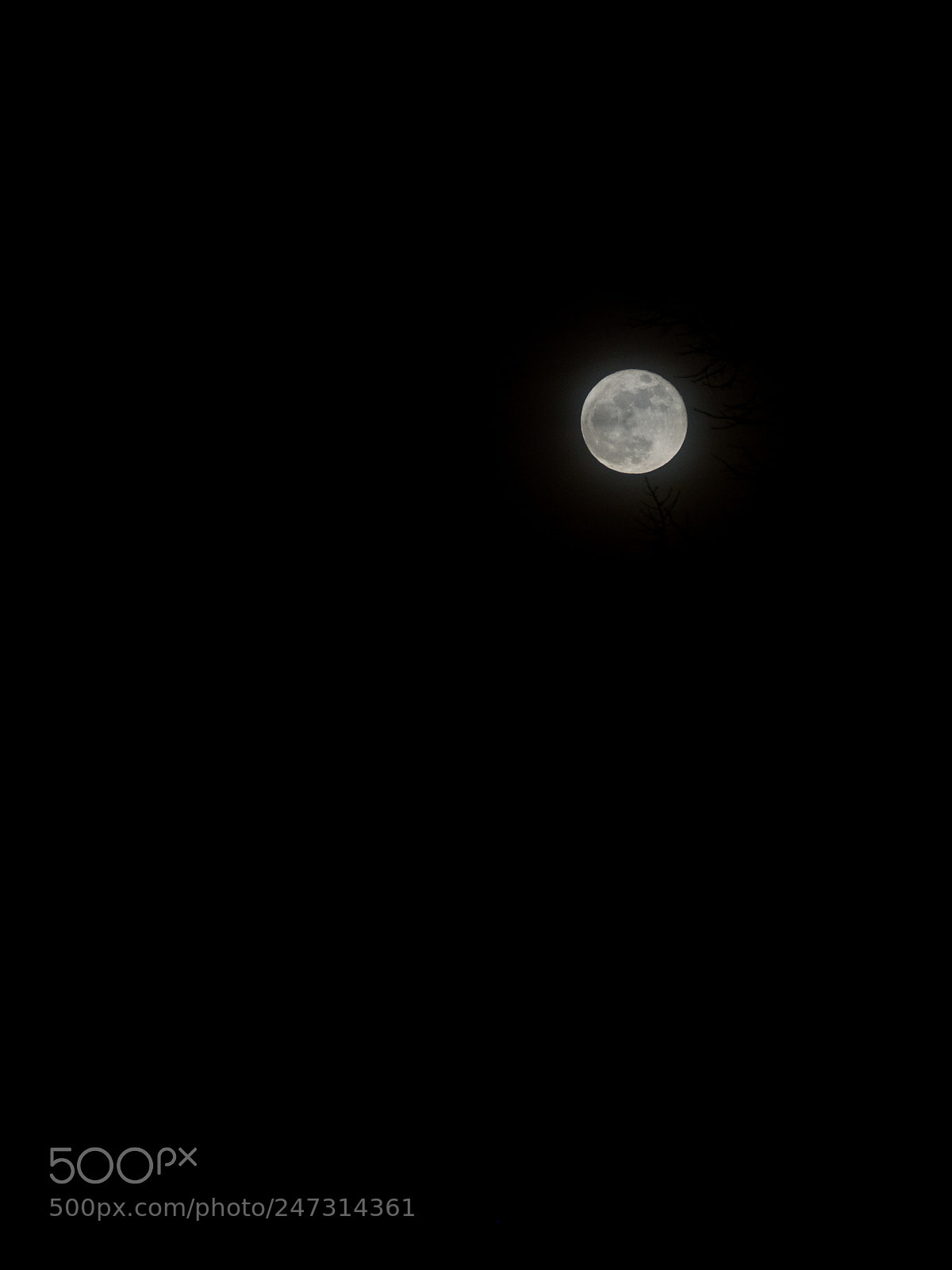 Olympus OM-D E-M1 Mark II sample photo. Untitled photography