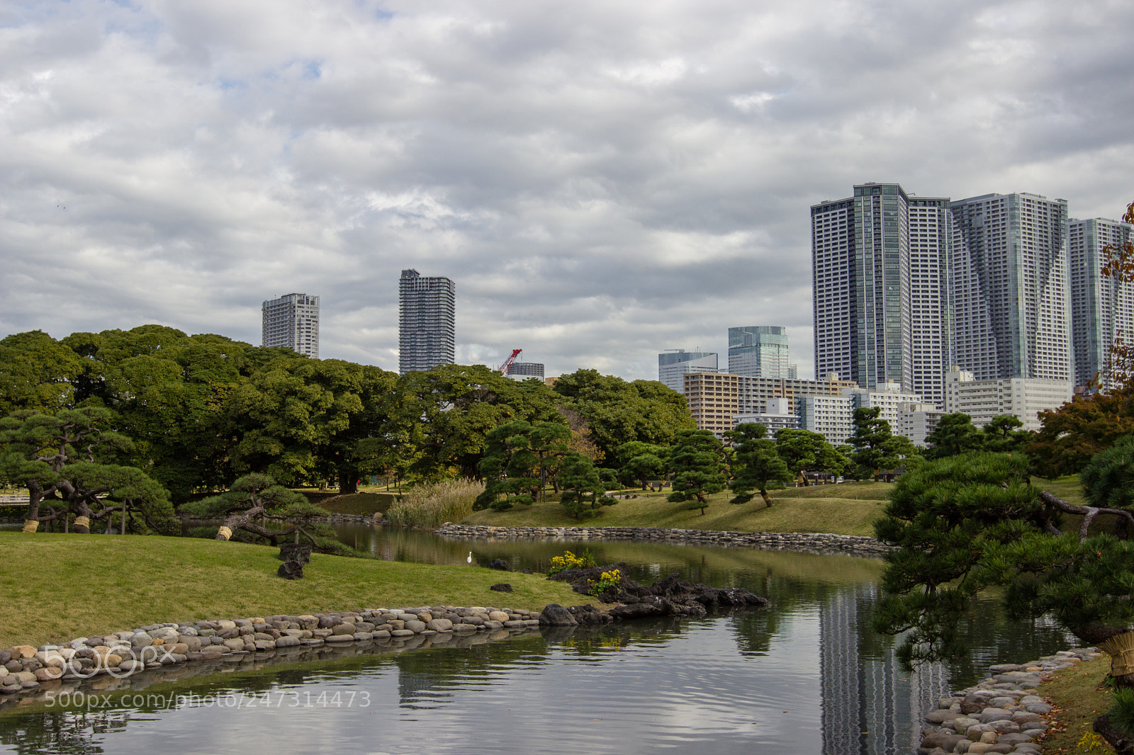 Canon EOS 600D (Rebel EOS T3i / EOS Kiss X5) sample photo. Serpentin photography