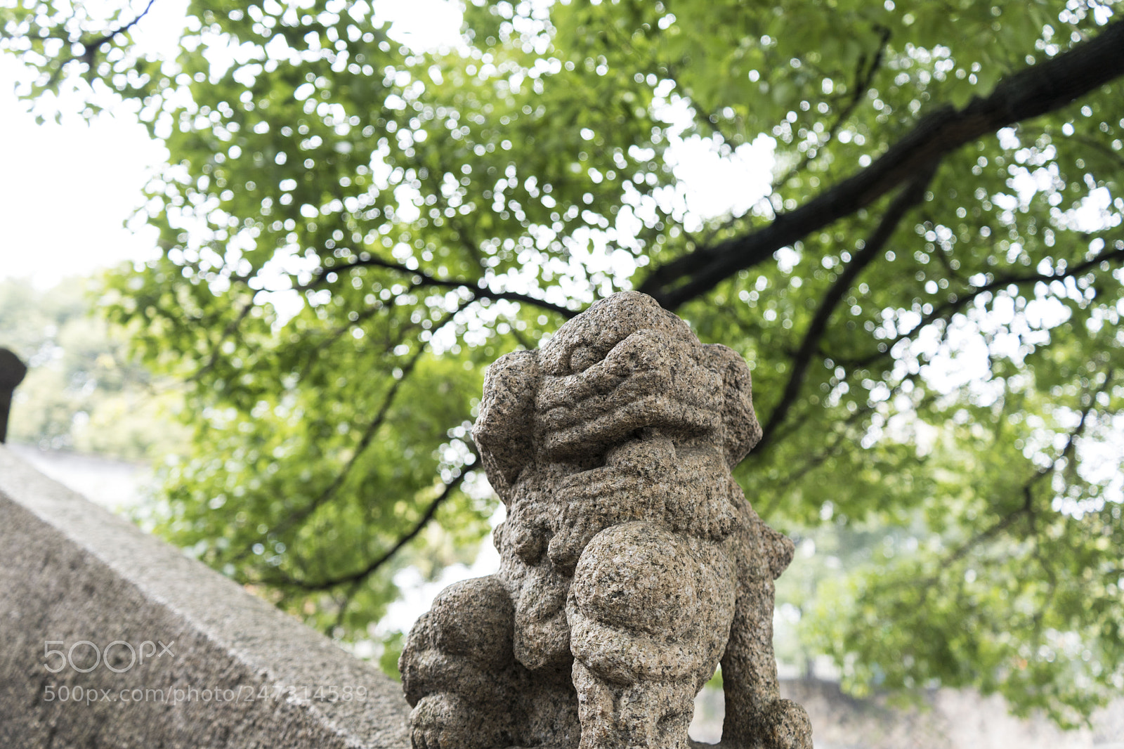 Sony a7 II sample photo. 古桥石狮子 photography