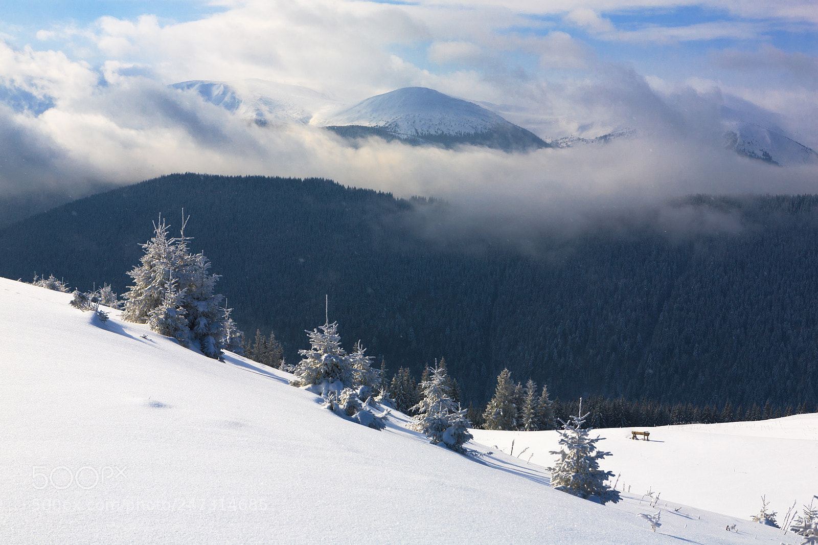 Canon EOS 5D sample photo. Winter in the carpathians photography