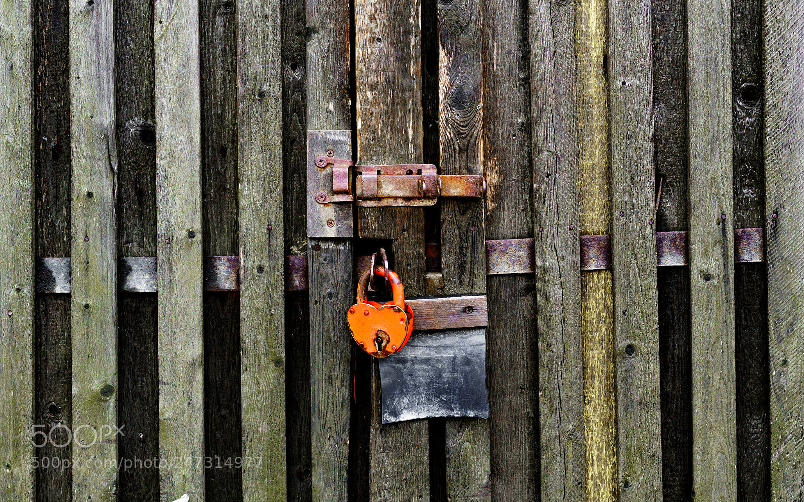 Sony a7R II sample photo. Solovki 25 (padlock). photography