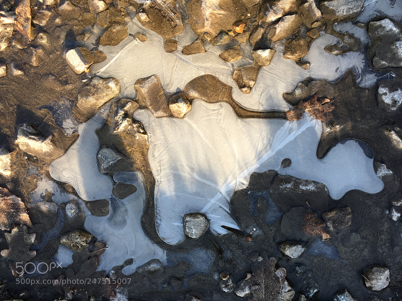 Apple iPhone 6s sample photo. Frozen dreams photography