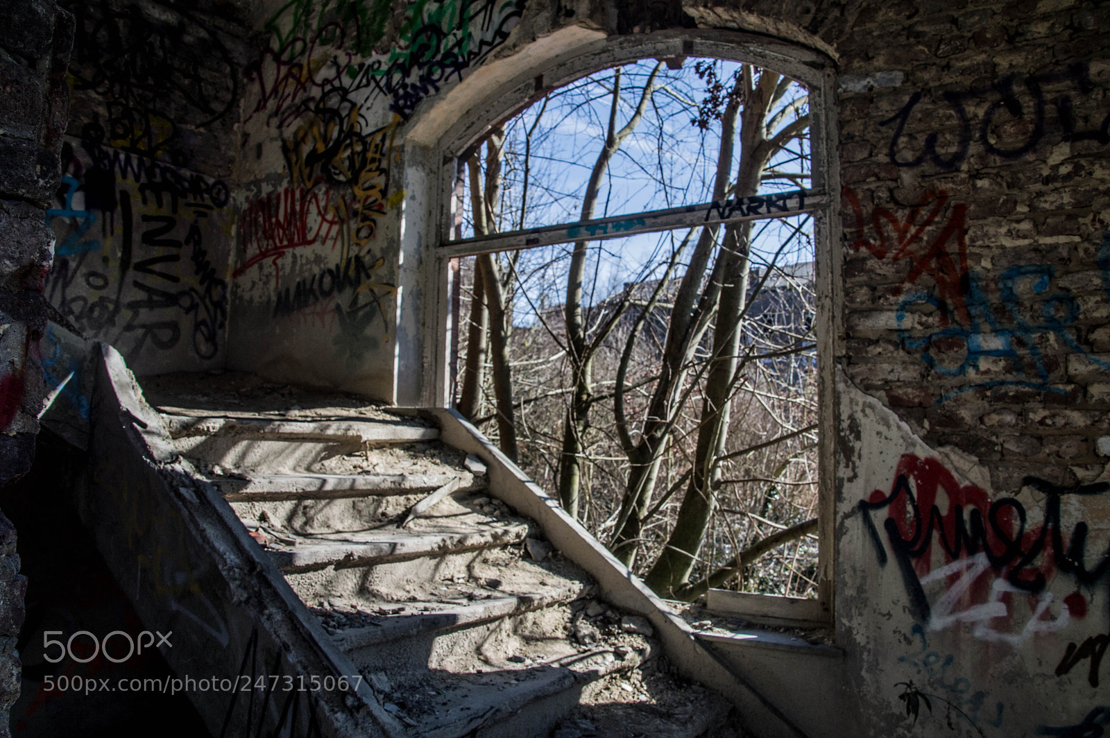 Nikon D3200 sample photo. Fort chartreuse photography