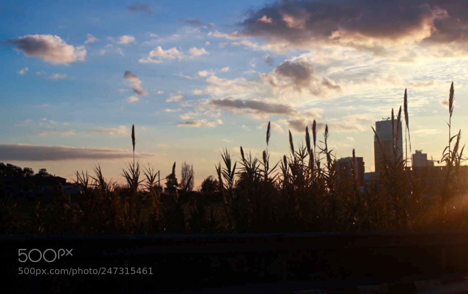 Canon EOS 600D (Rebel EOS T3i / EOS Kiss X5) sample photo. Sunset cheraga photography