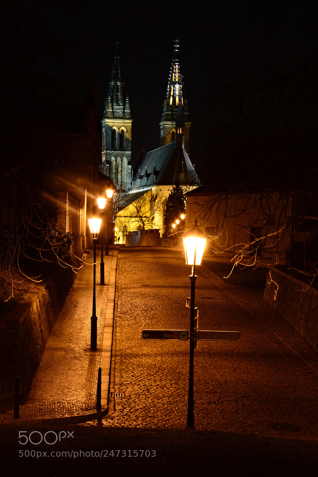 Nikon D7100 sample photo. Basilica of st. peter photography