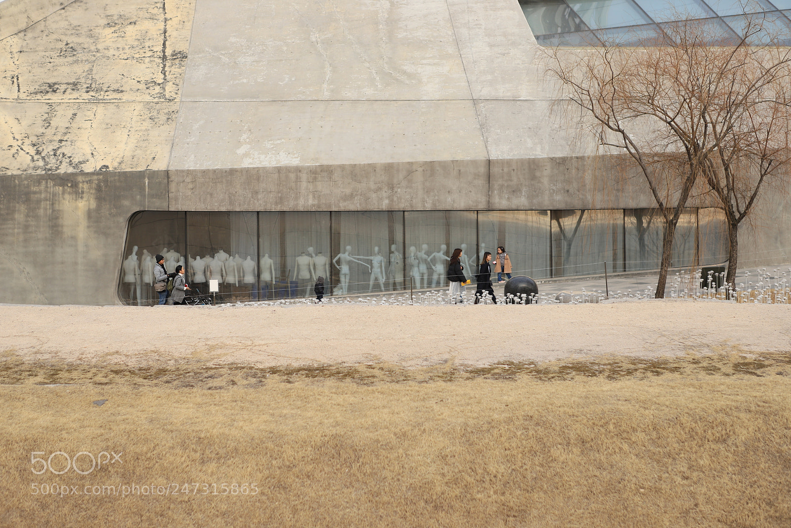 Canon EOS 6D Mark II sample photo. In / out photography