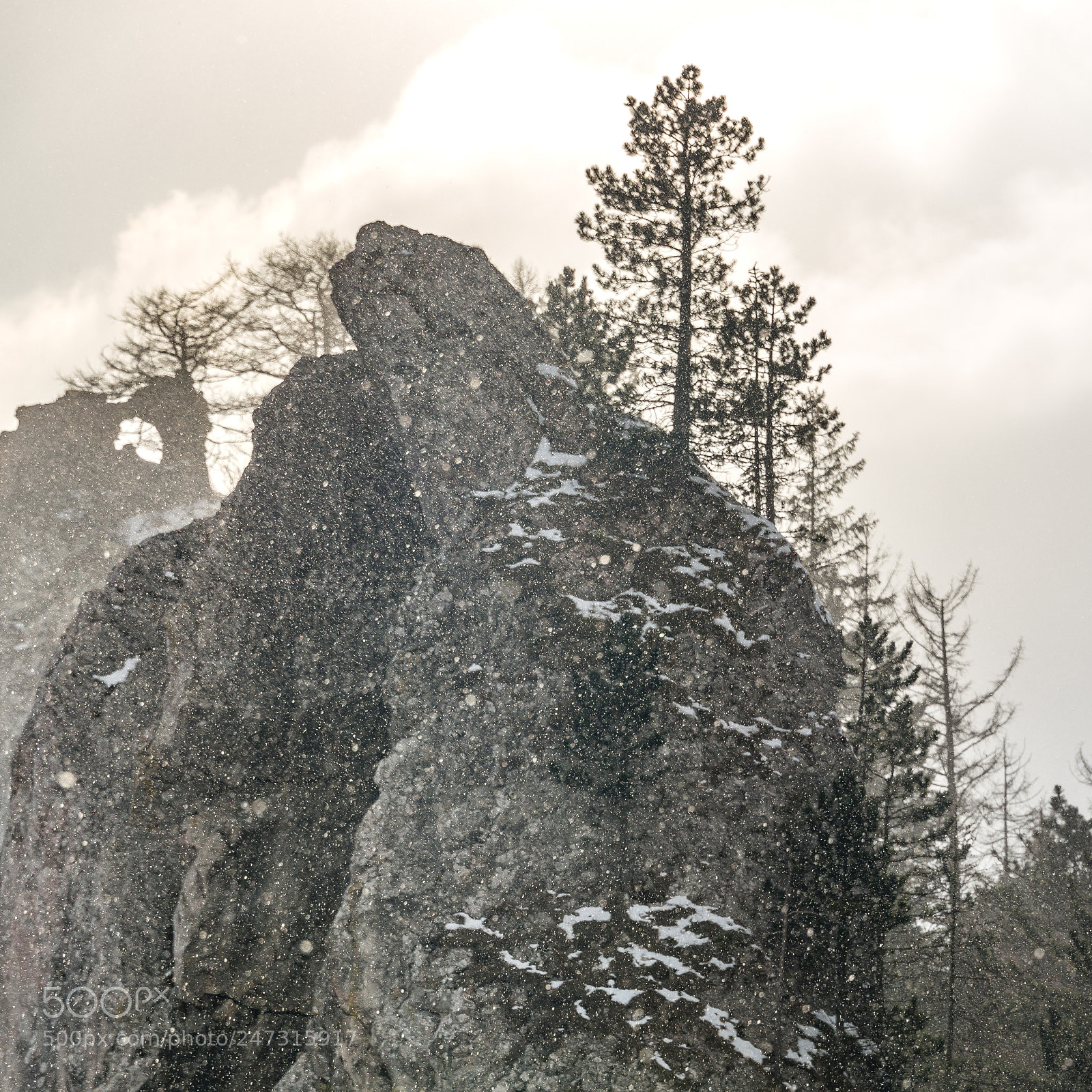 Nikon D610 sample photo. Snowing in the mountains photography
