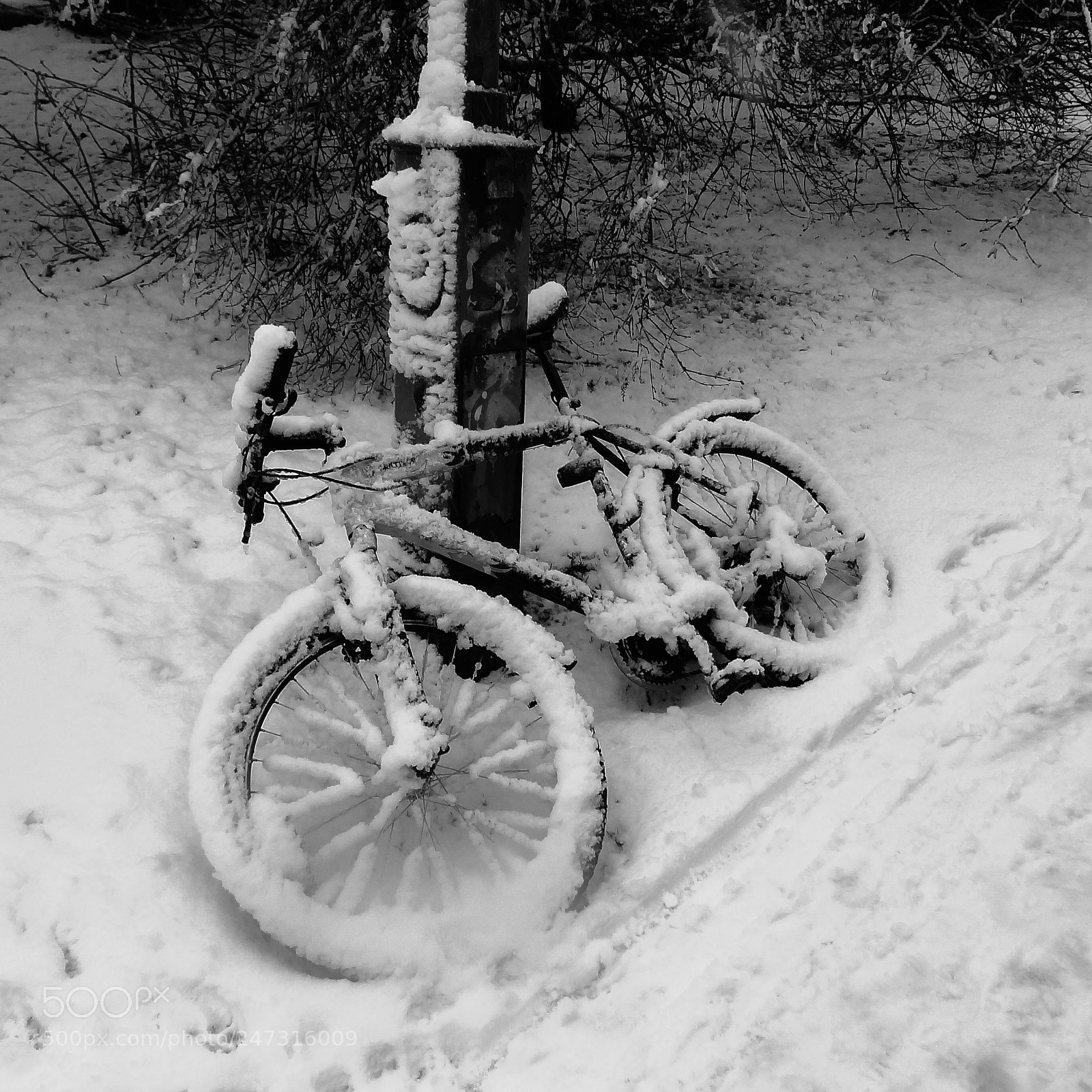 Sony Cyber-shot DSC-HX9V sample photo. Icycle photography