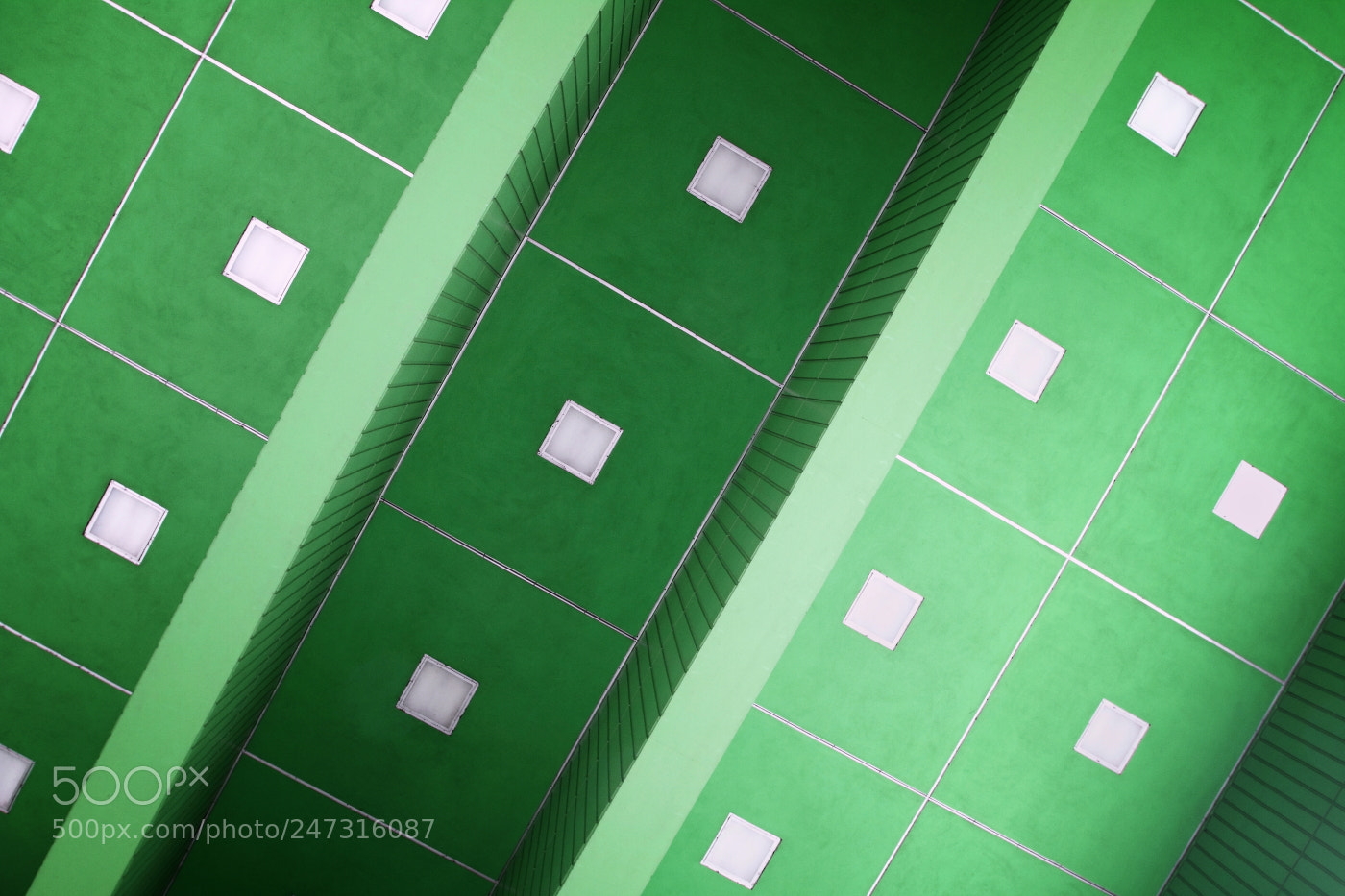 Canon EOS 7D sample photo. Going green photography