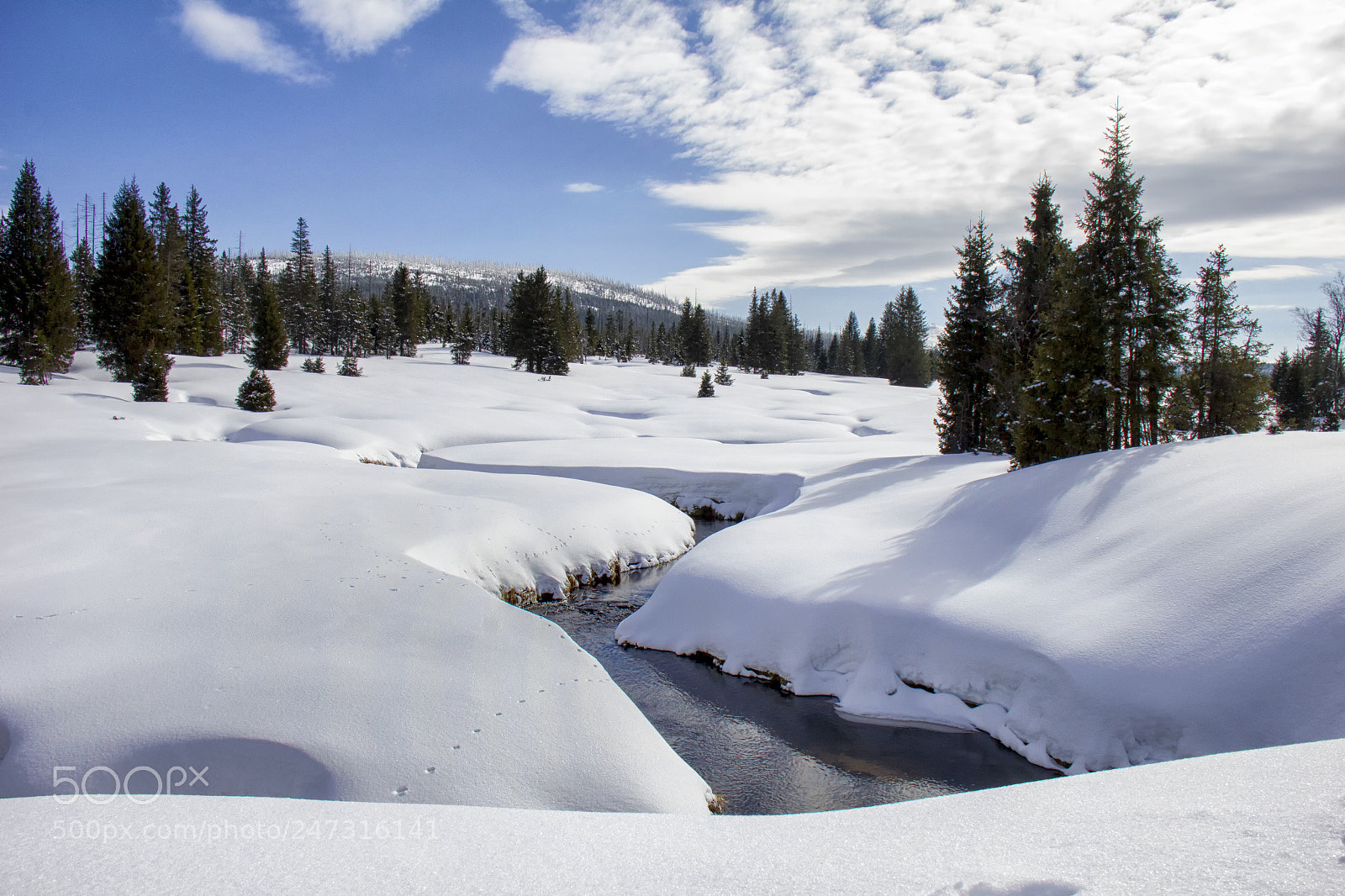 Canon EOS 550D (EOS Rebel T2i / EOS Kiss X4) sample photo. Breznik, national park sumava photography