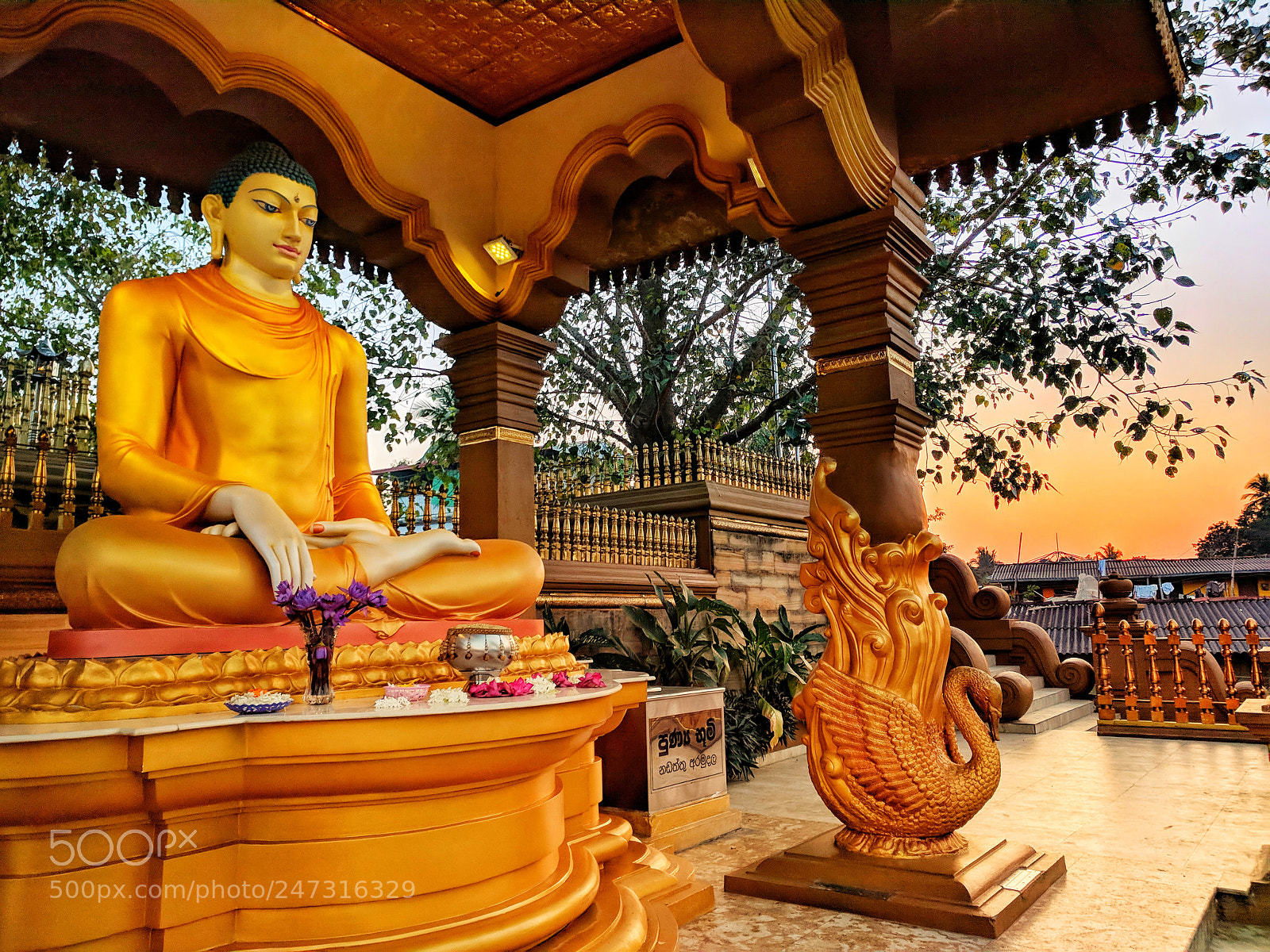 Google Nexus 6P sample photo. Buddhist temple photography